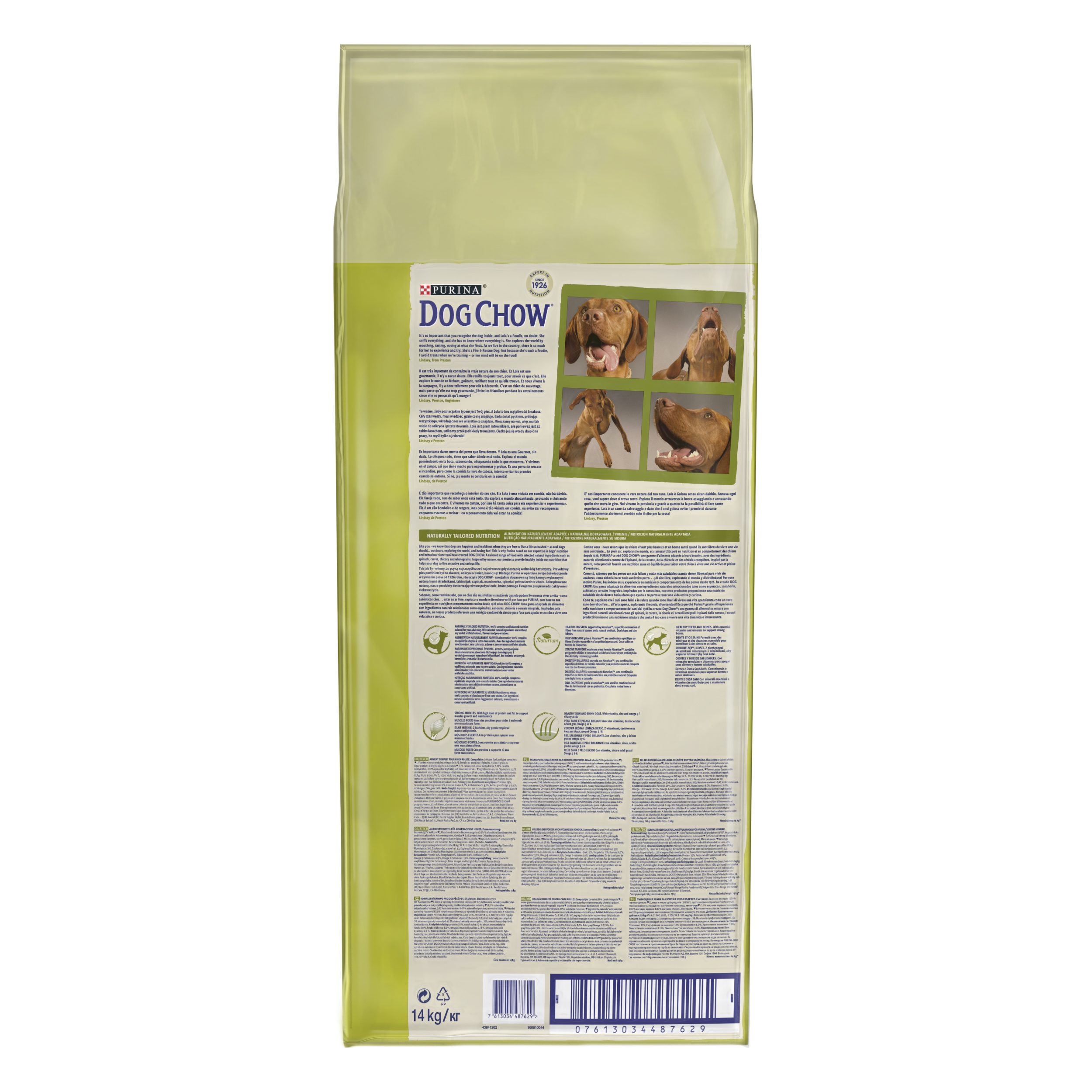 07613034487629_C7N1_Dog Chow Adult Medium Chicken 14kg 1_43841202