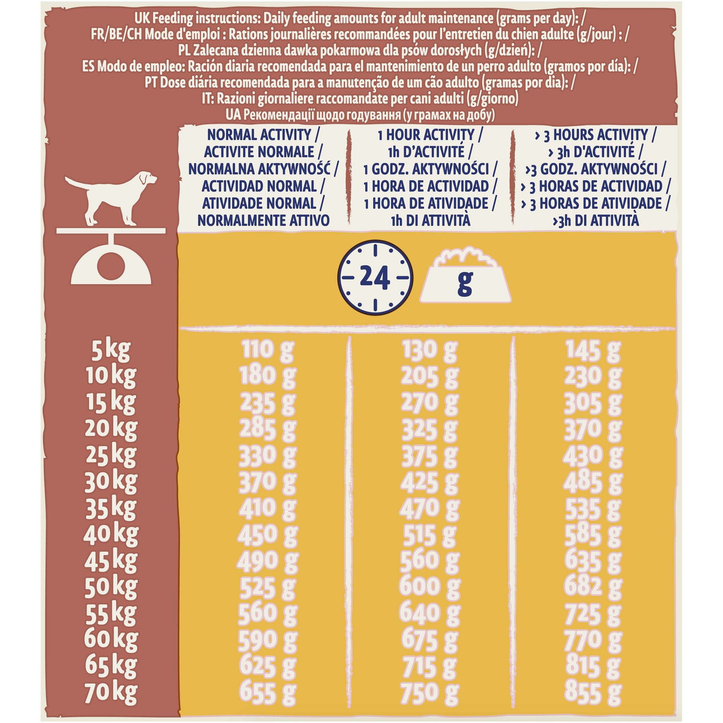 07613034487933_F_02_Dog Chow Adult Active Chicken 14kg_BEFRCHPLHUDEATNLSENODKCZROMDBGSISKHRRSUAFIESPTITGRTRGB_43969496