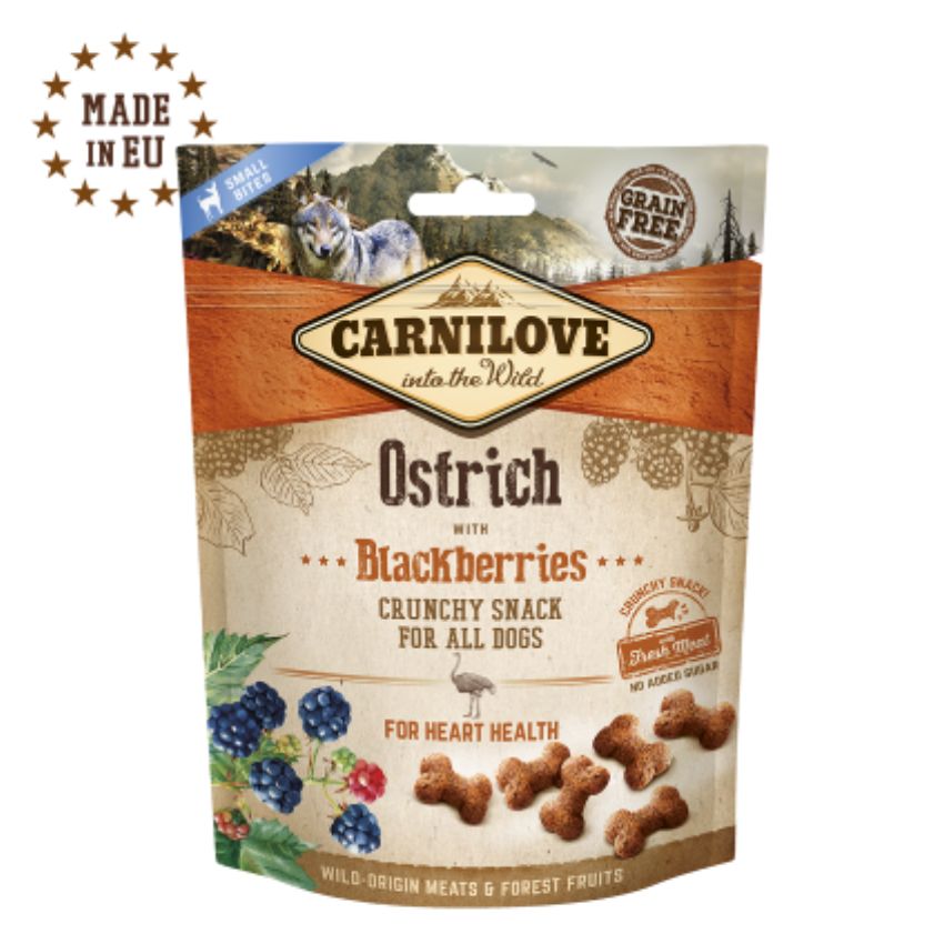 xr:d:DAFIDuJHdO0:8,j:31918509333,t:22080109