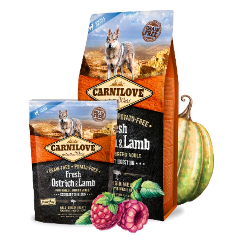 xr:d:DAFIJk4sBRQ:12,j:32070344436,t:22080306