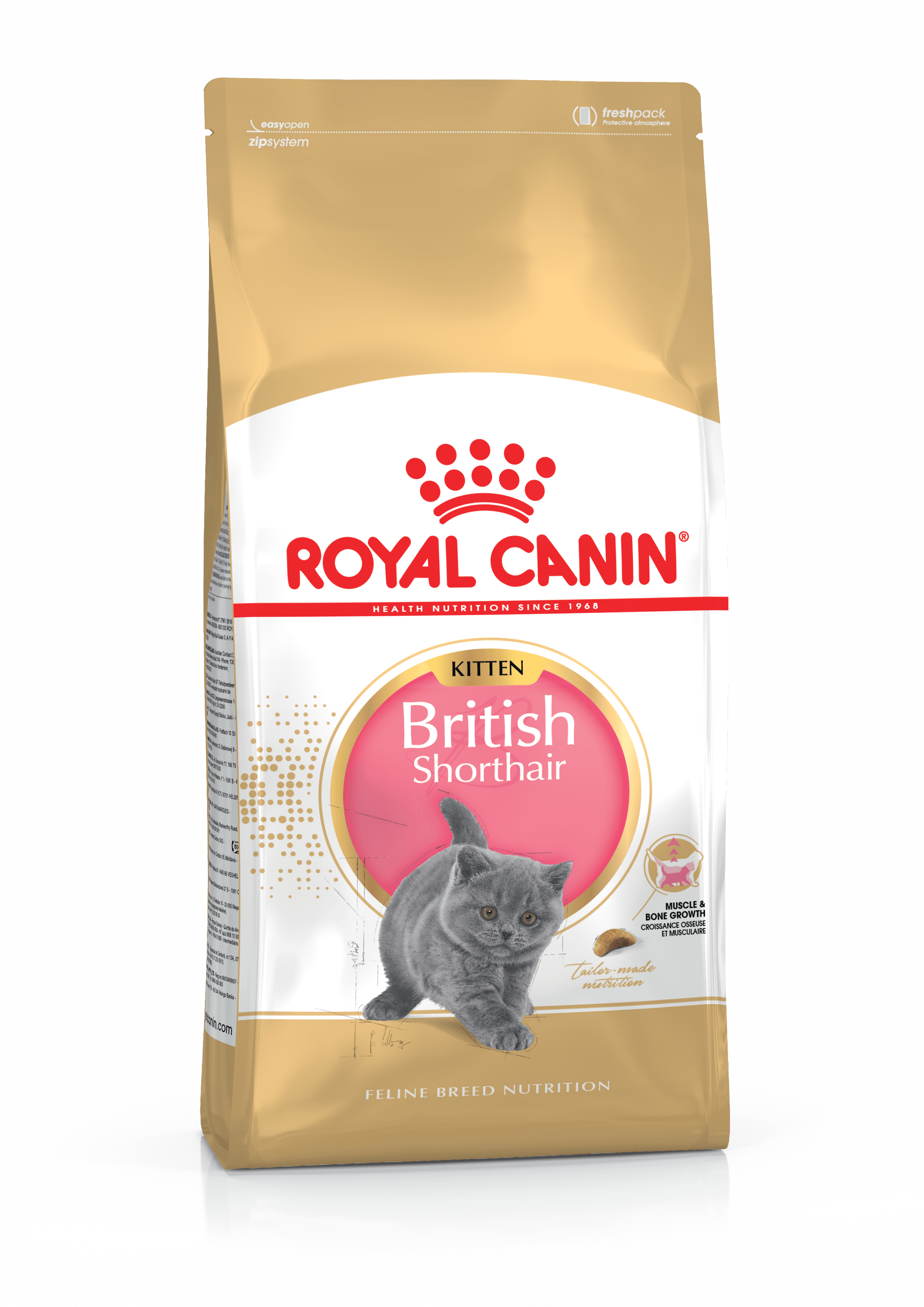 FBN2016_PACKSHOT_BRITISH SHORTHAIR_KITTEN-Packaging-Packshots-000003
