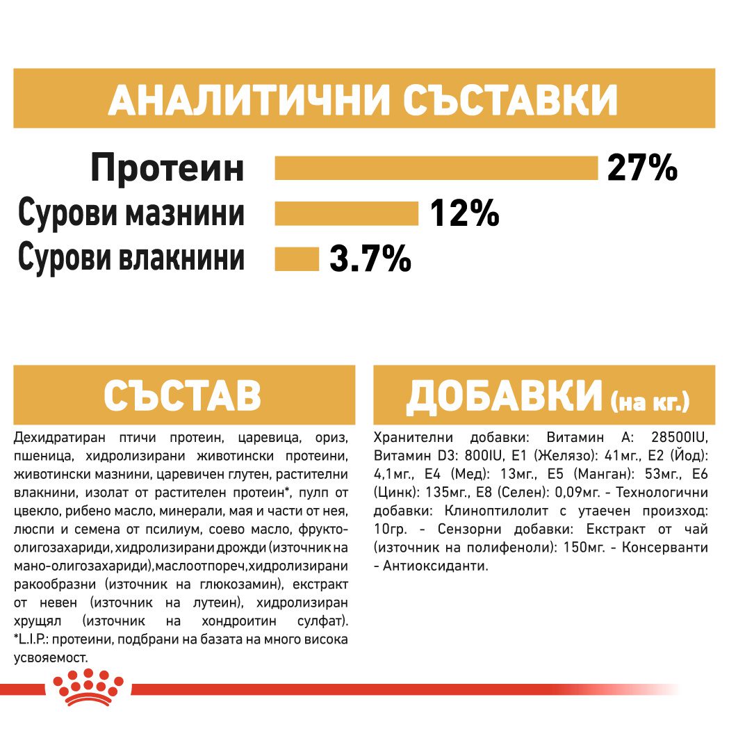 RC-BHN-Beagle-CV-Eretailkit-6﻿-bg_BG