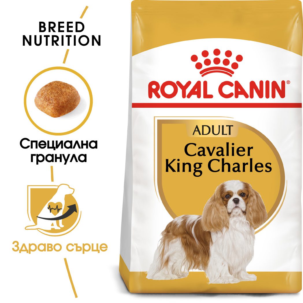 RC-BHN-CavalierKingCharles-MV-Eretailkit﻿-bg_BG