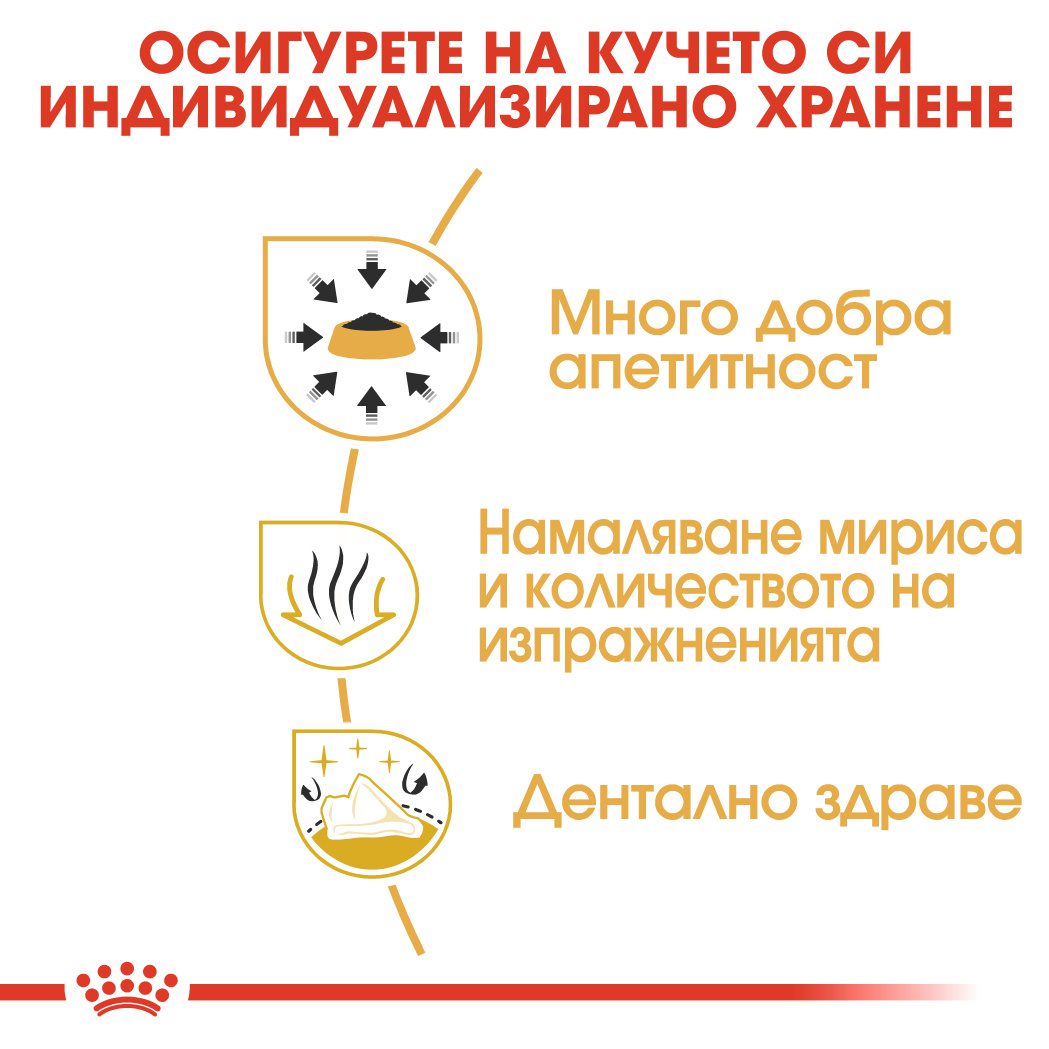 RC-BHN-Chihuahua-CV-Eretailkit-3﻿-bg_BG