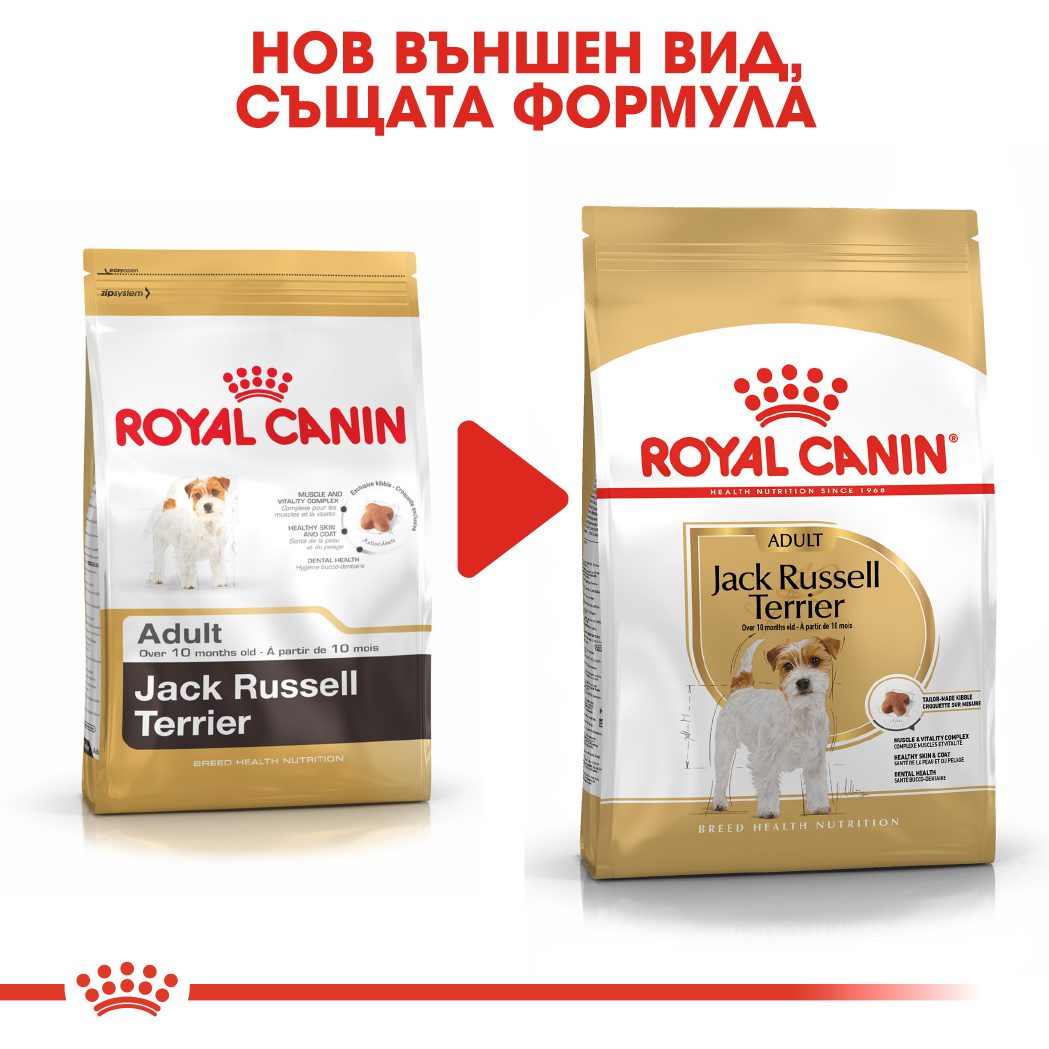 RC-BHN-JackRussell-CV-Eretailkit-4﻿-bg_BG