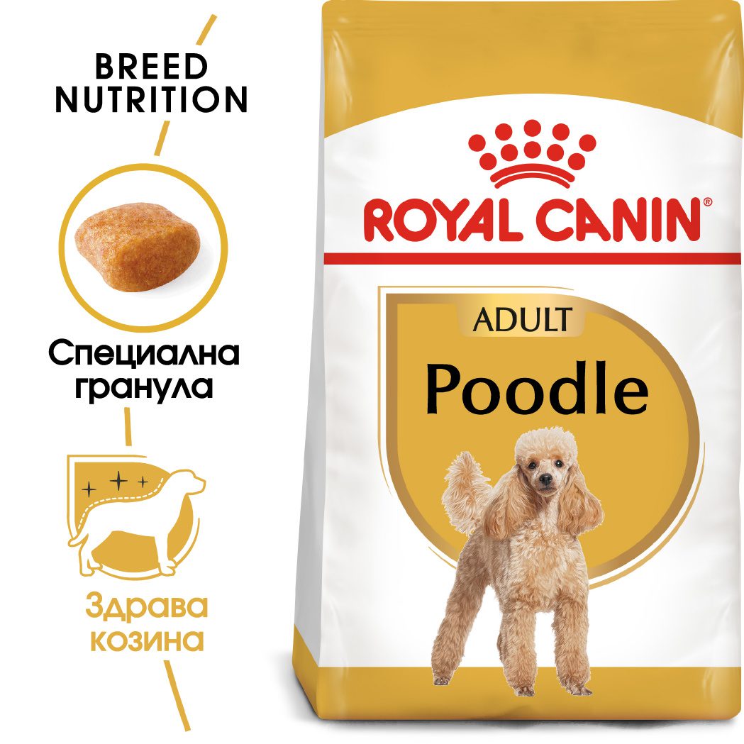 RC-BHN-Poodle-MV-Eretailkit﻿-bg_BG