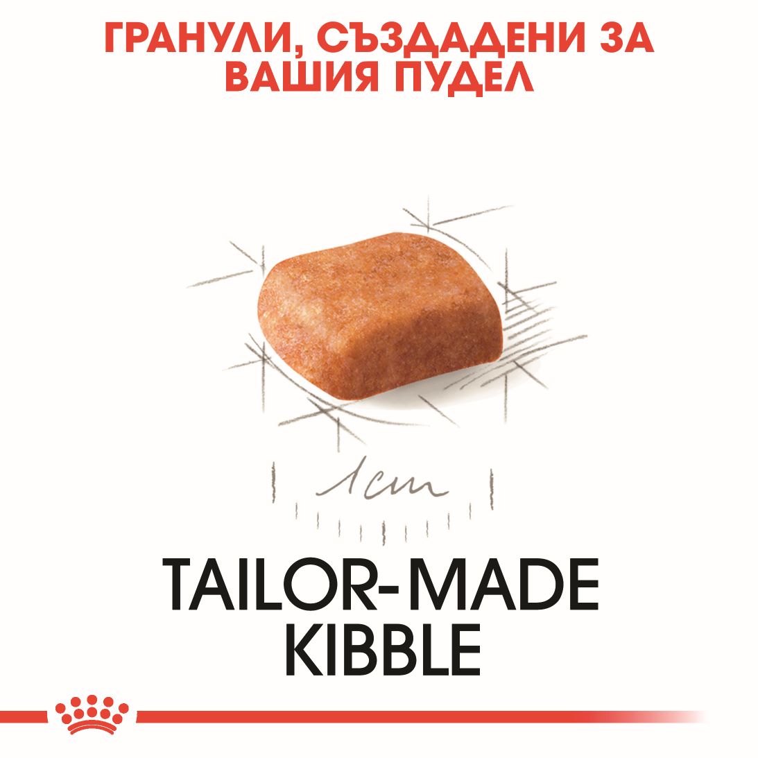 RC-BHN-PoodleJunior-CV-2-bg_BG