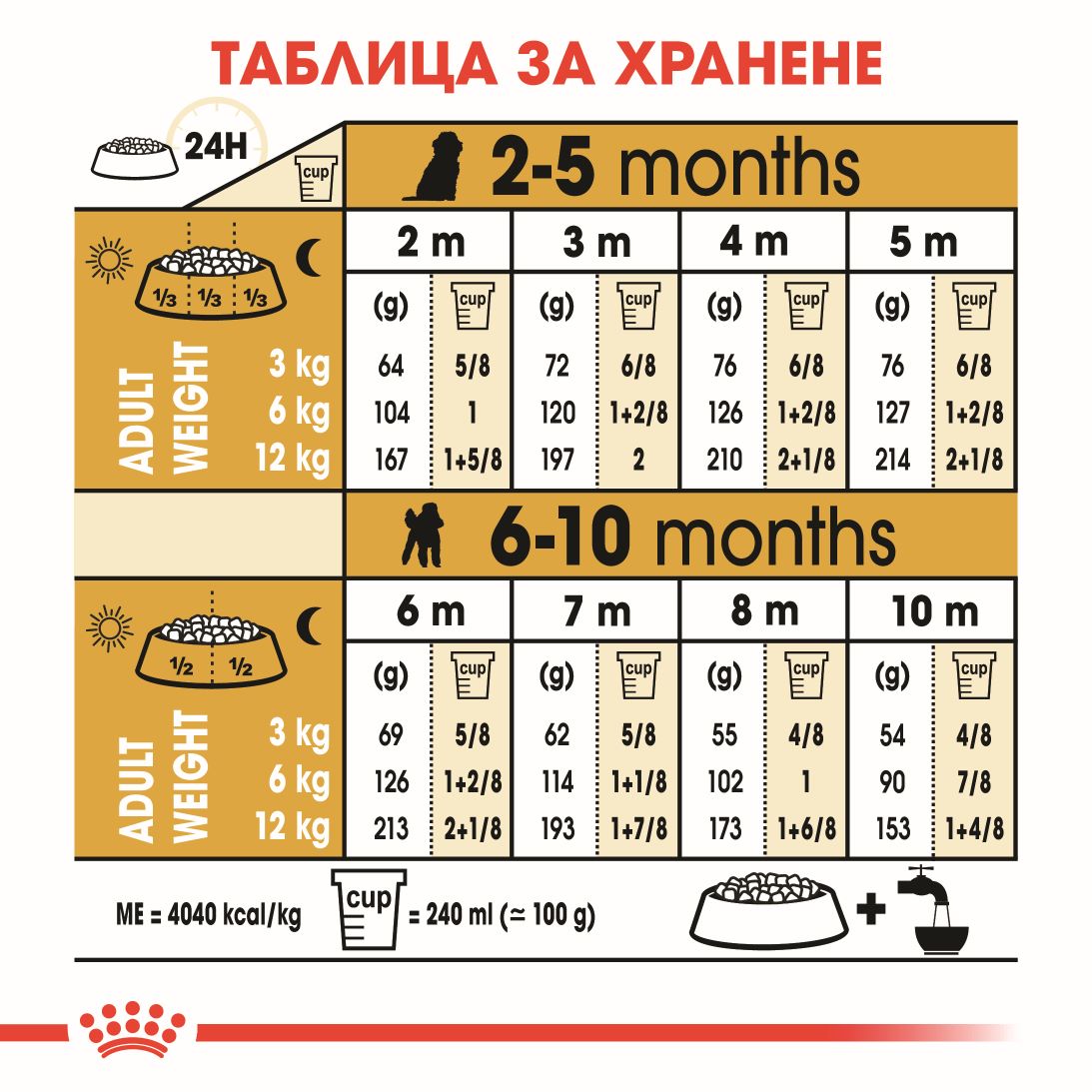 RC-BHN-PoodleJunior-CV-5-bg_BG
