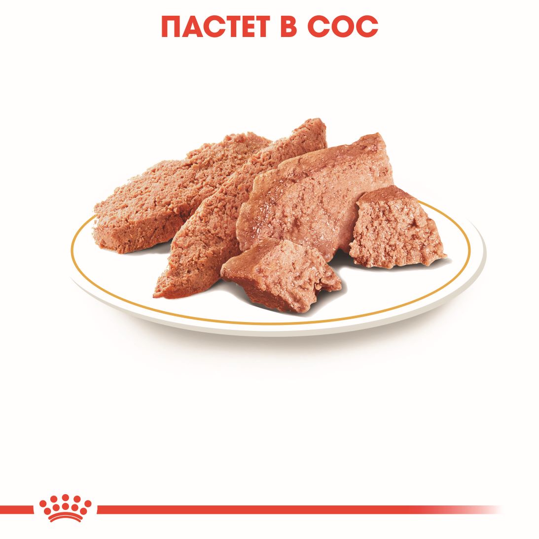 RC-BHN-PoodleWet-CV-Eretailkit-2-bg_BG