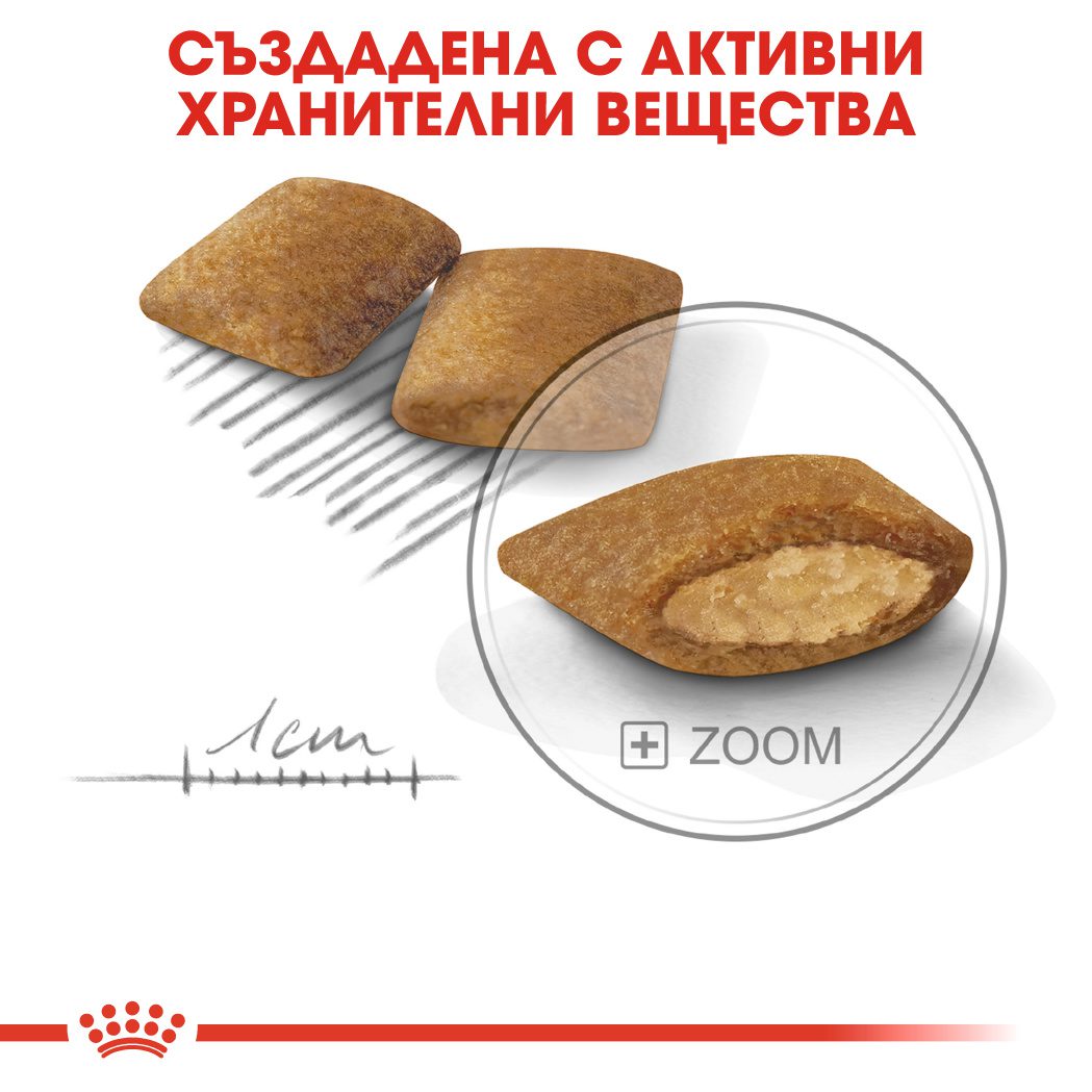 RC-CCN-ExigentMini-CV-Eretailkit-5﻿-bg_BG