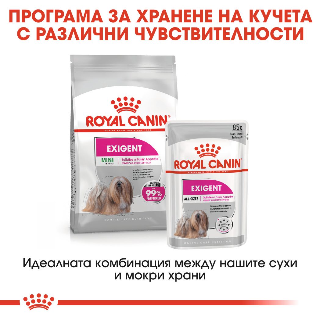 RC-CCN-ExigentMini-CV-Eretailkit-6﻿-bg_BG