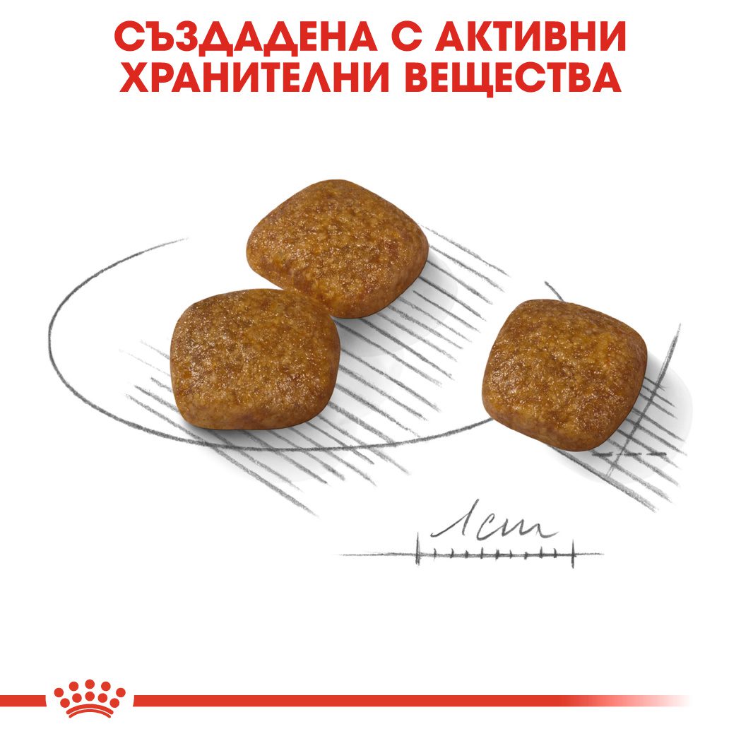 RC-CCN-UrinaryMini-CV-Eretailkit-4﻿-bg_BG