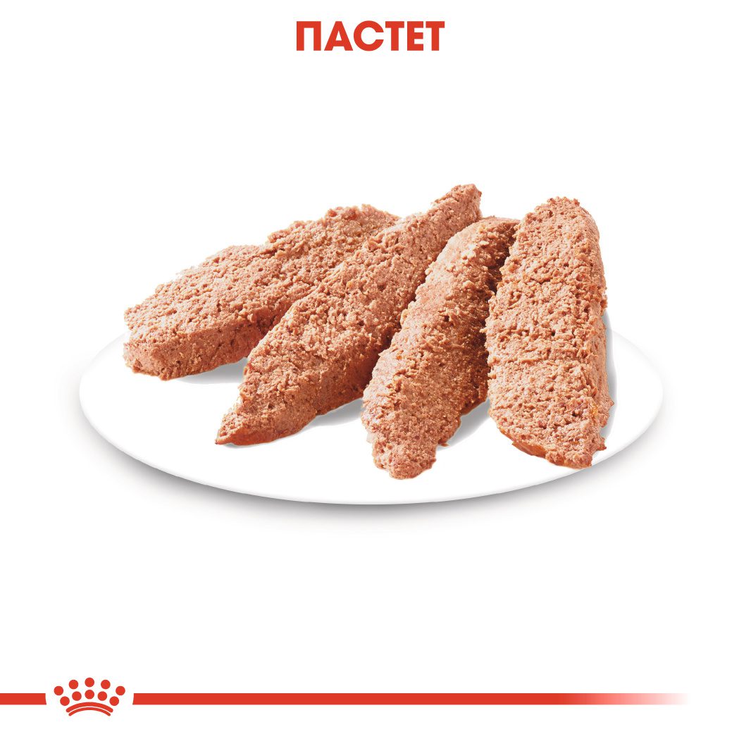 RC-CCN-Wet-Exigent-CV-Eretailkit-2-bg_BG