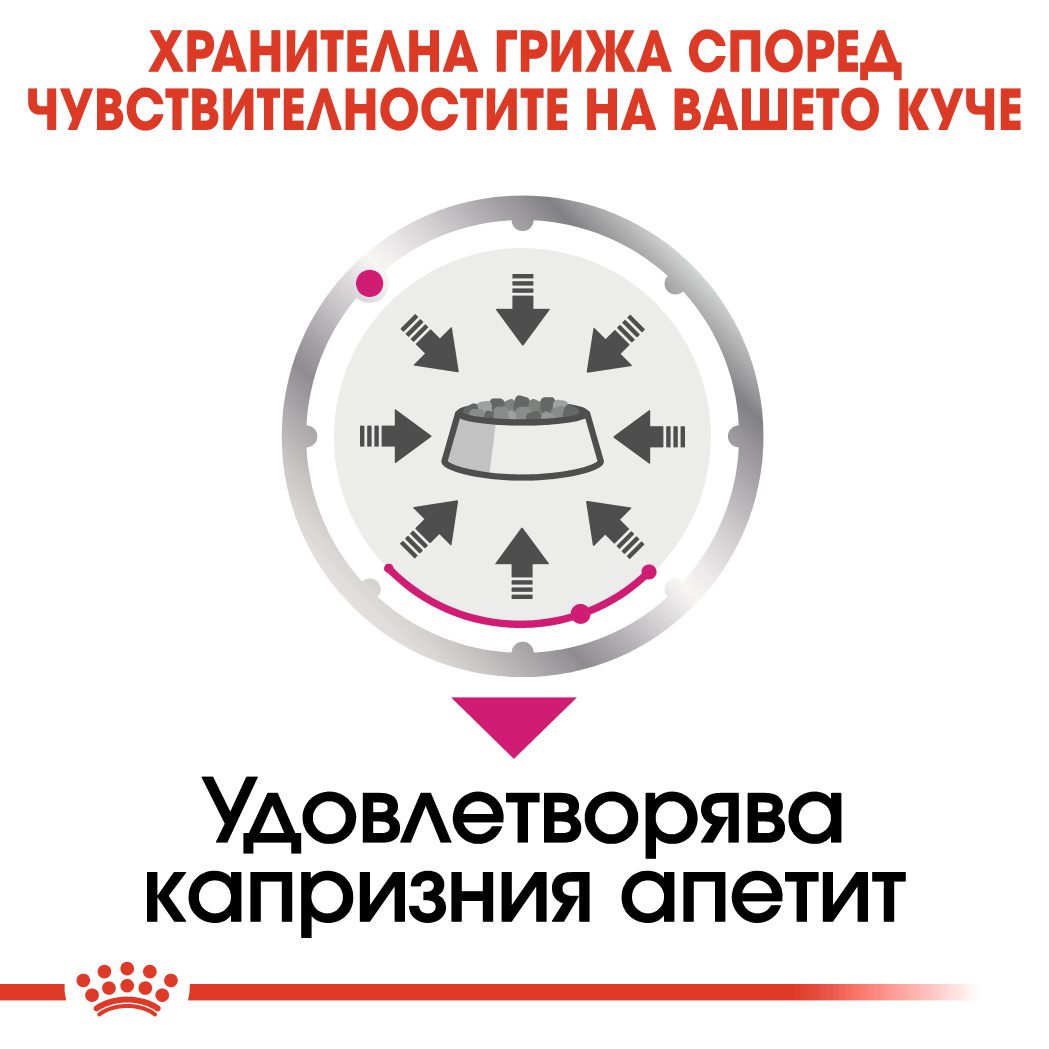 RC-CCN-Wet-Exigent-CV-Eretailkit-3-bg_BG