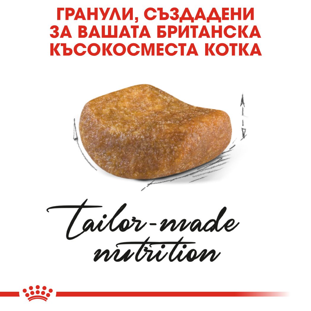 RC-FBN-BritishSH-CV-Eretailkit-2﻿-bg_BG