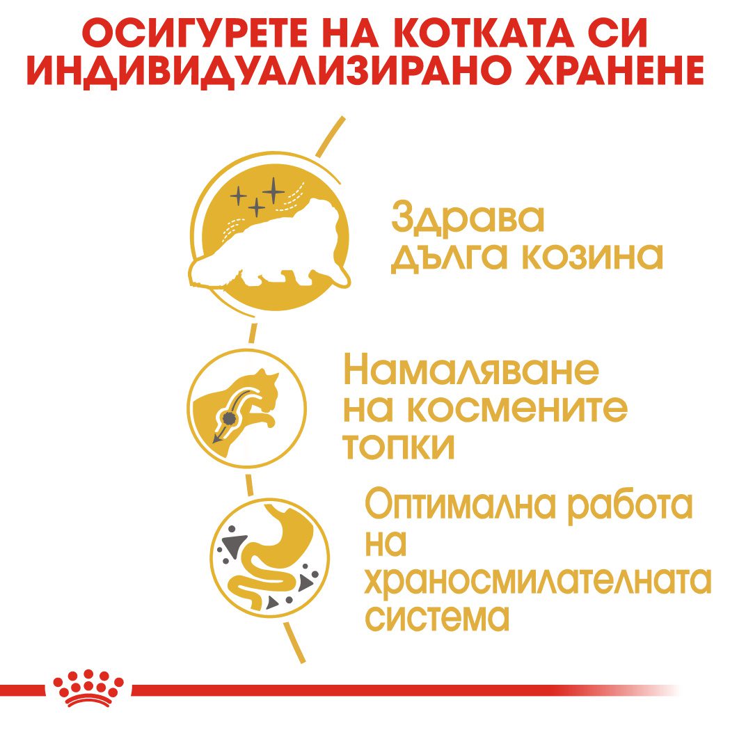 RC-FBN-Persian-CV-Eretailkit-3﻿-bg_BG