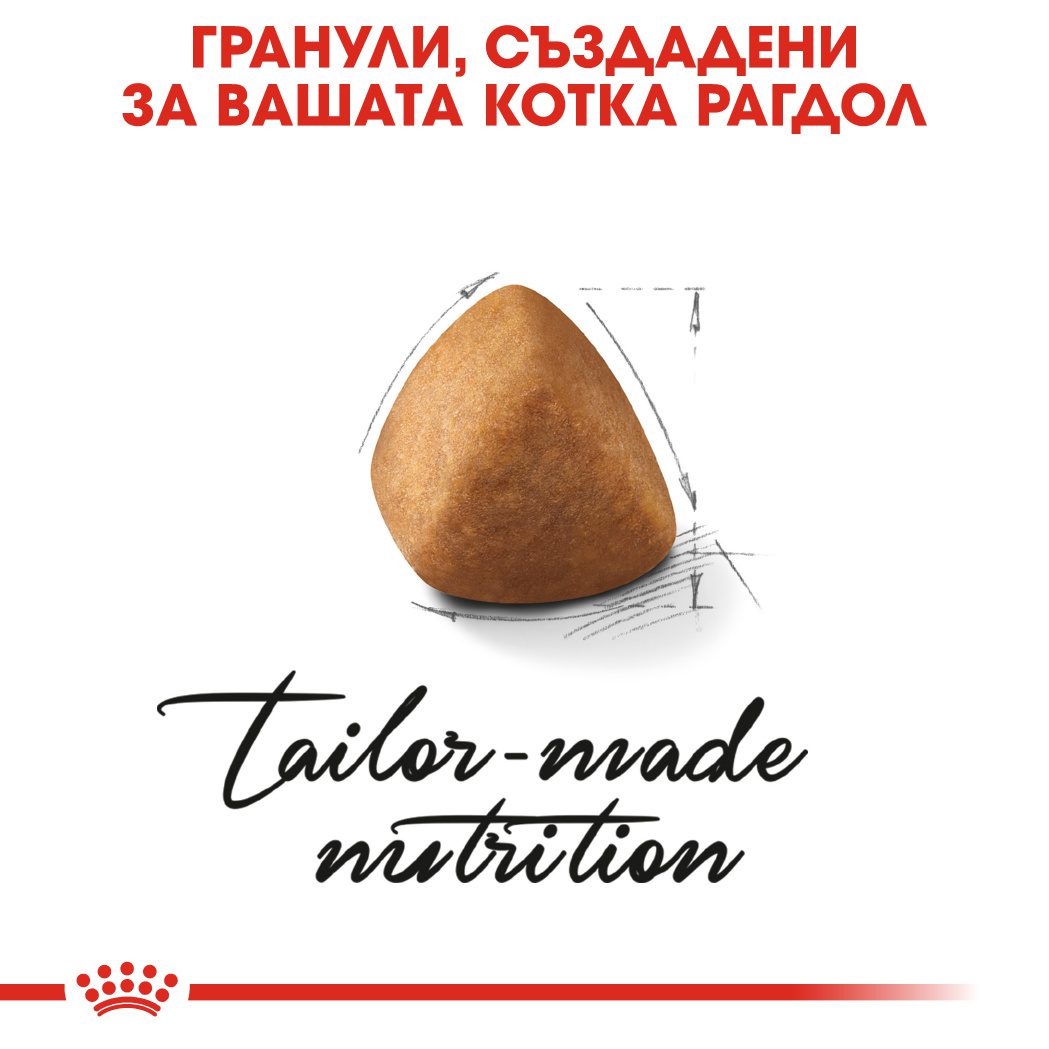 RC-FBN-Ragdoll-CV-Eretailkit-2﻿-bg_BG