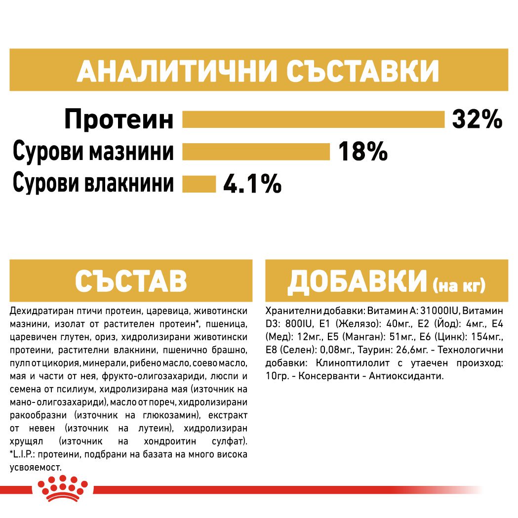 RC-FBN-Ragdoll-CV-Eretailkit-6﻿-bg_BG