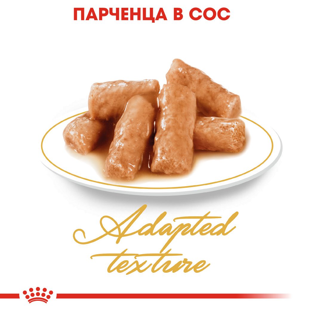 RC-FBN-Wet-BritishSH-CV-Eretailkit-2﻿-bg_BG