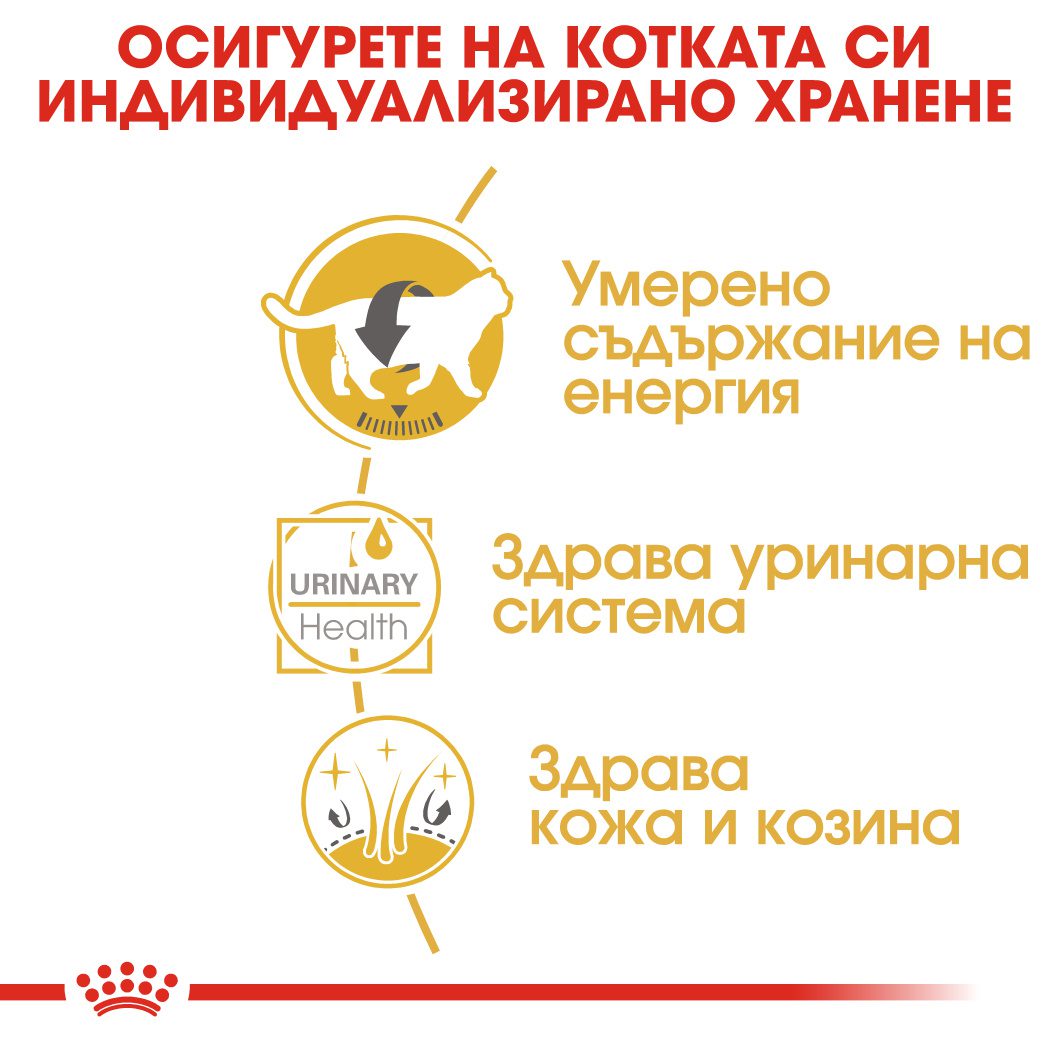 RC-FBN-Wet-BritishSH-MV-Eretailkit-3﻿-bg_BG