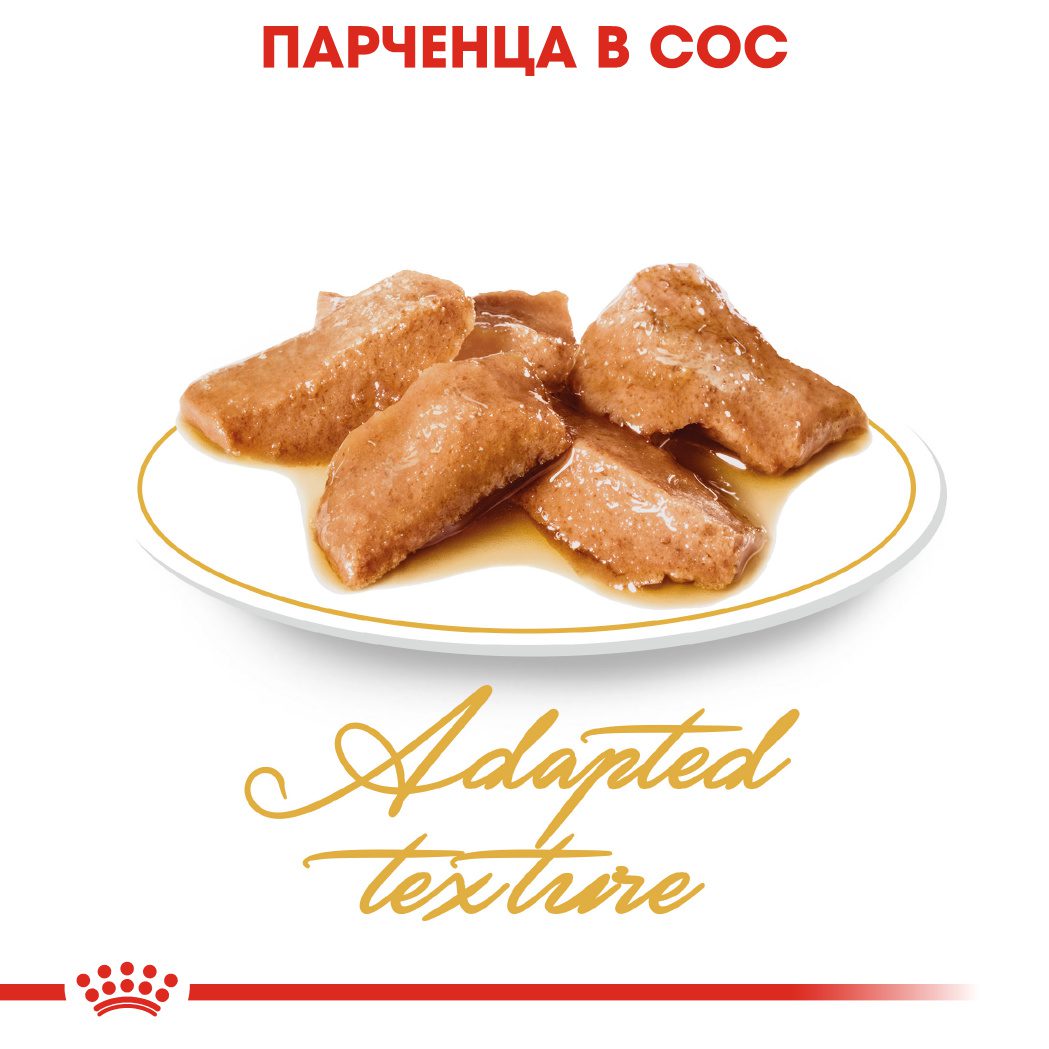 RC-FBN-Wet-MaineCoon-CV-Eretailkit-2﻿-bg_BG