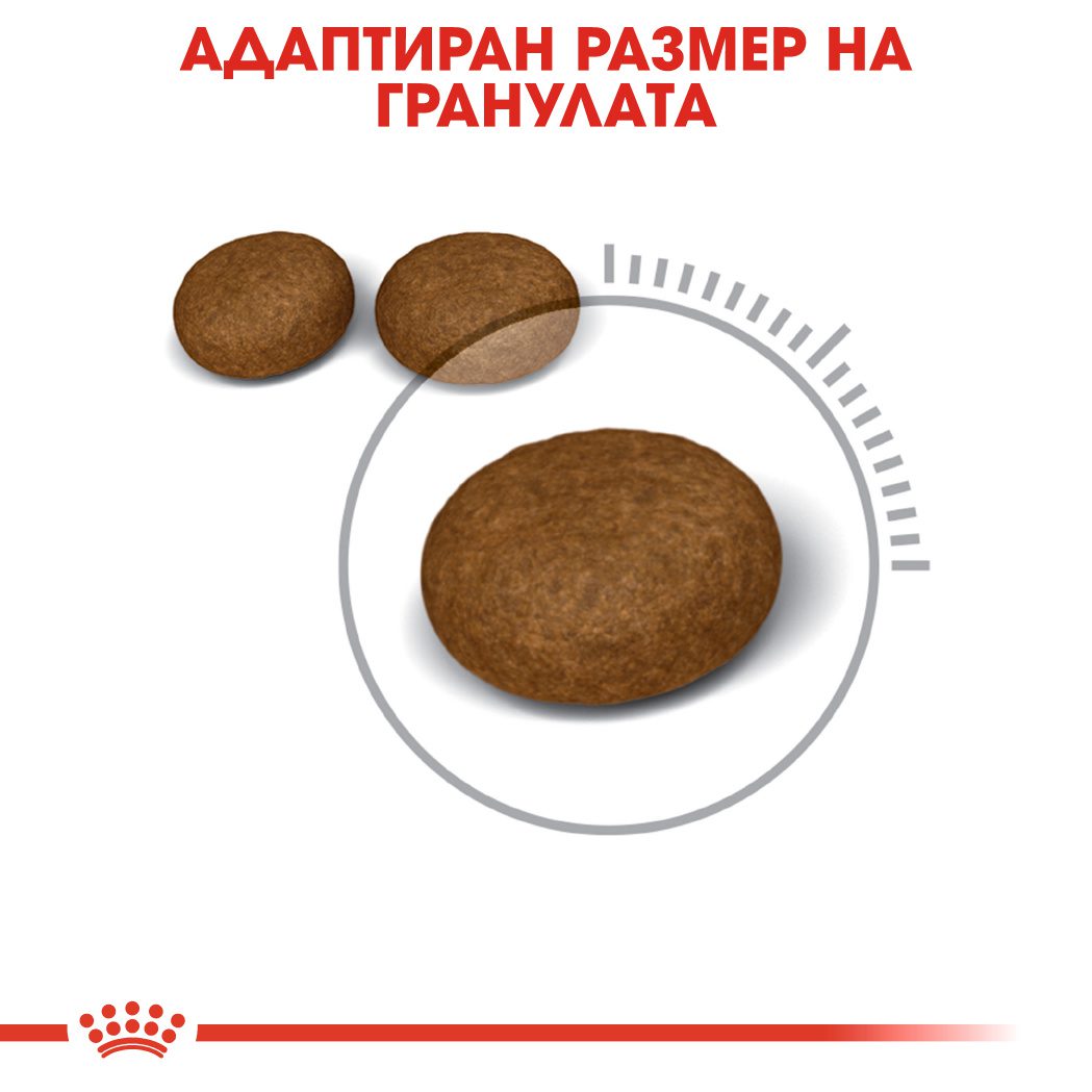 RC-FCN-Hair&Skin-CV-Eretailkit-3﻿-bg_BG