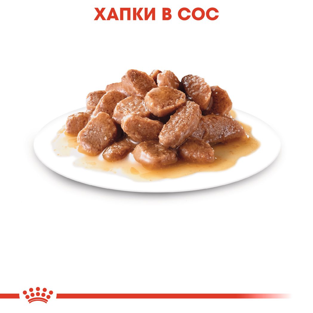 RC-FCN-Wet-HairballCareGravy-CV-Eretailkit-3﻿-bg_BG