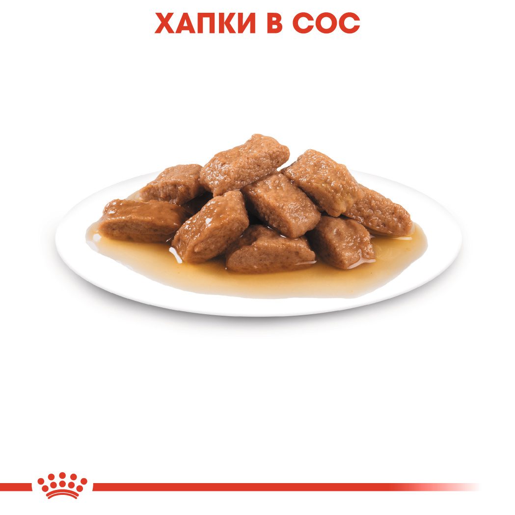 RC-SHN-Wet-MediumAgeing-CV-Eretailkit-3﻿-bg_BG
