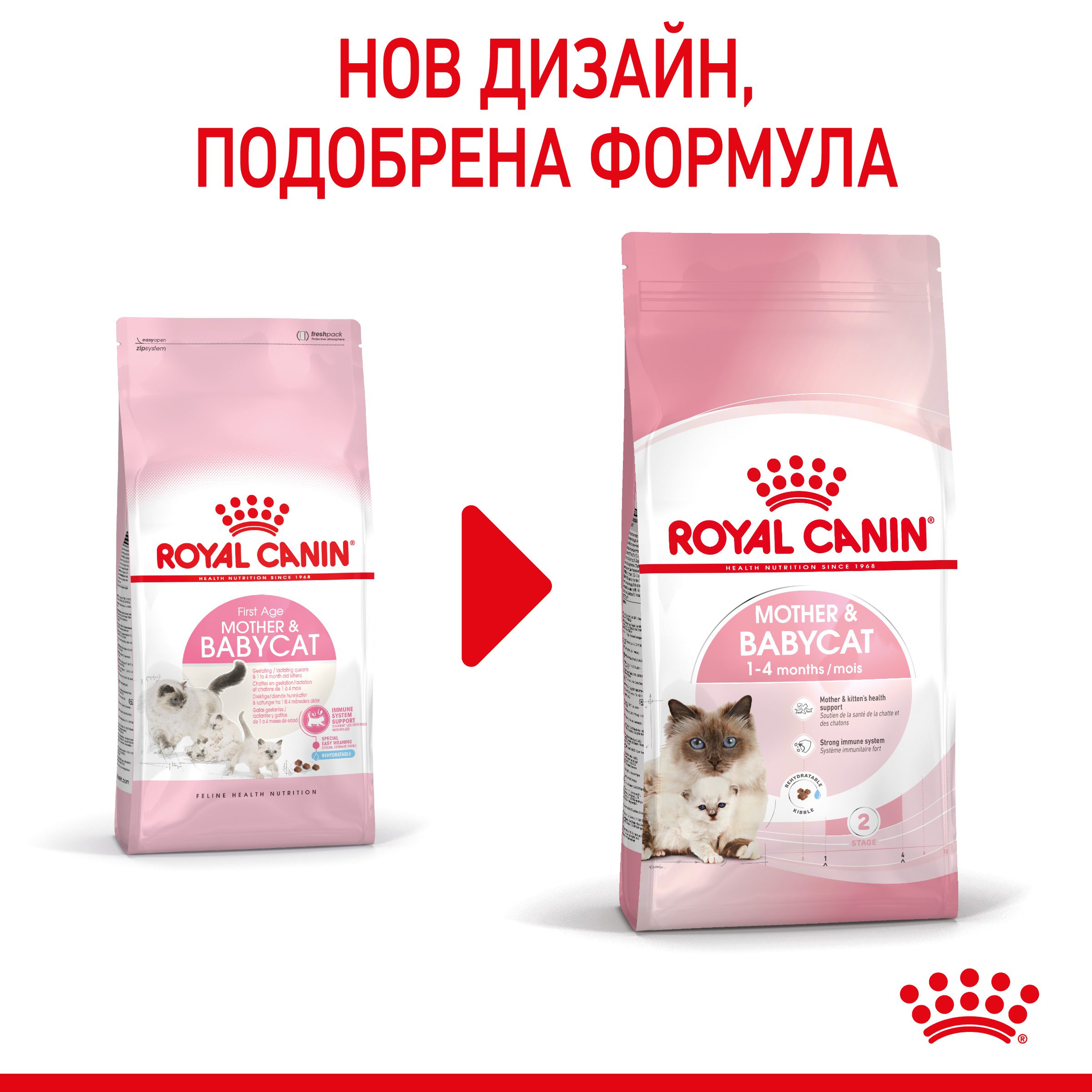 RC-SPT-DRY-Babycat-CV-1-bg_BG