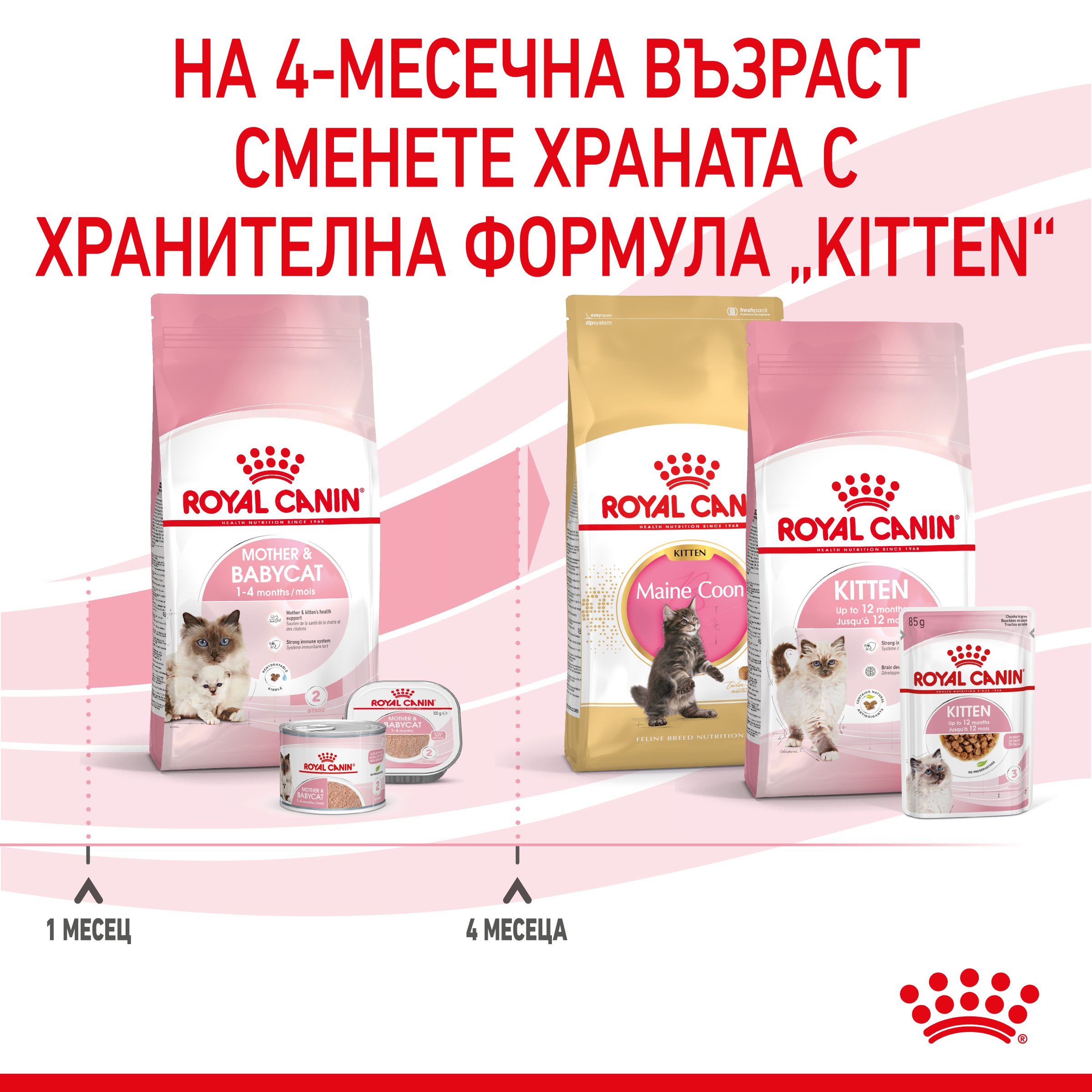 RC-SPT-DRY-Babycat-CV-5-bg_BG