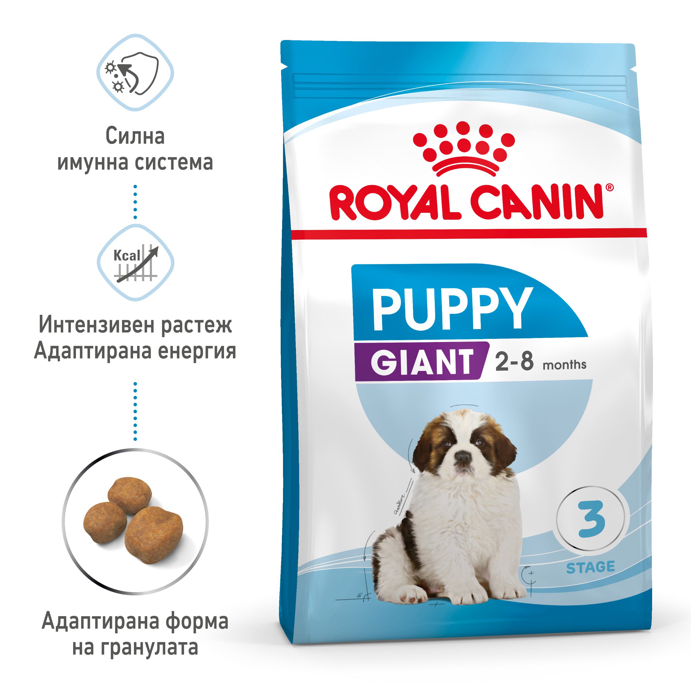 RC-SPT-DRY-GiantPuppy-MV-1-bg_BG