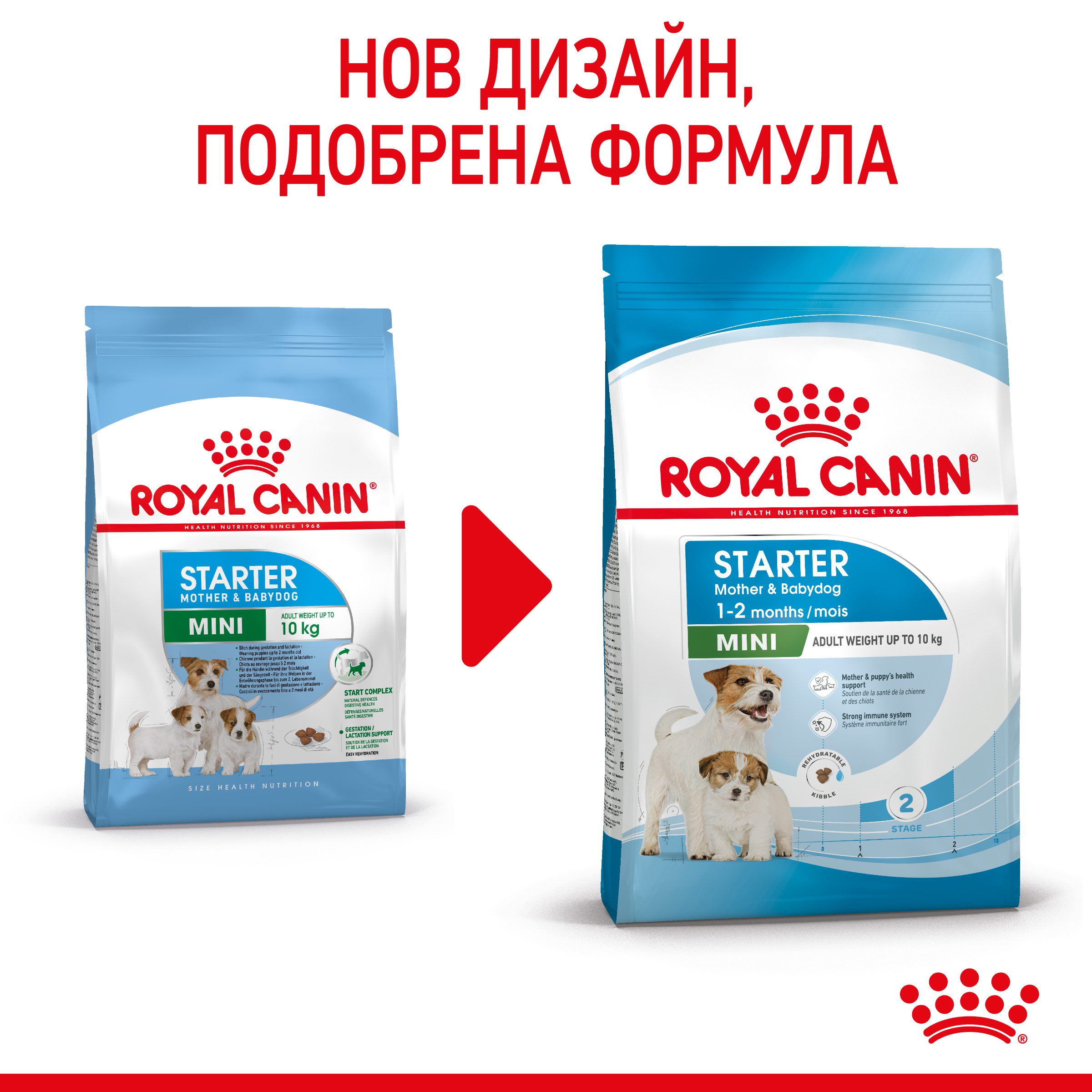 RC-SPT-DRY-MiniStart-CV-1-bg_BG