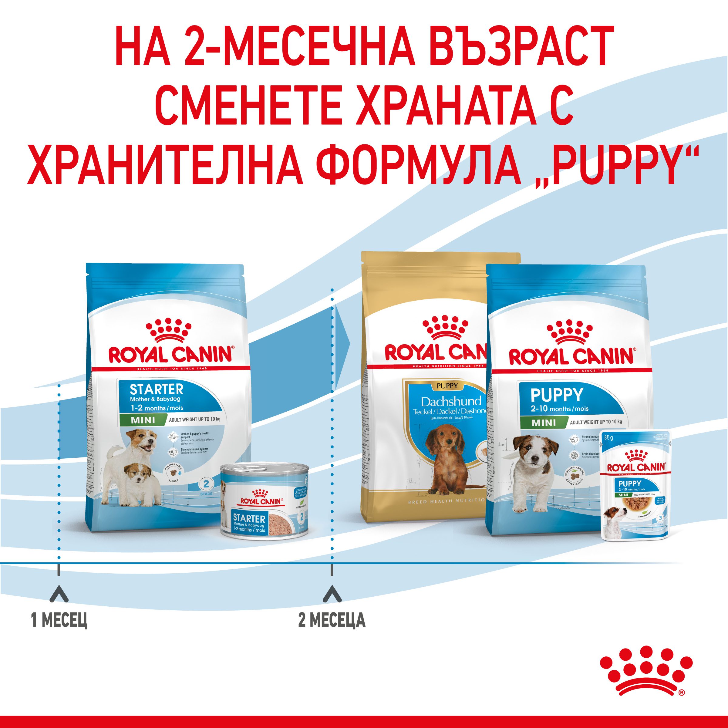 RC-SPT-DRY-MiniStart-CV-5-bg_BG