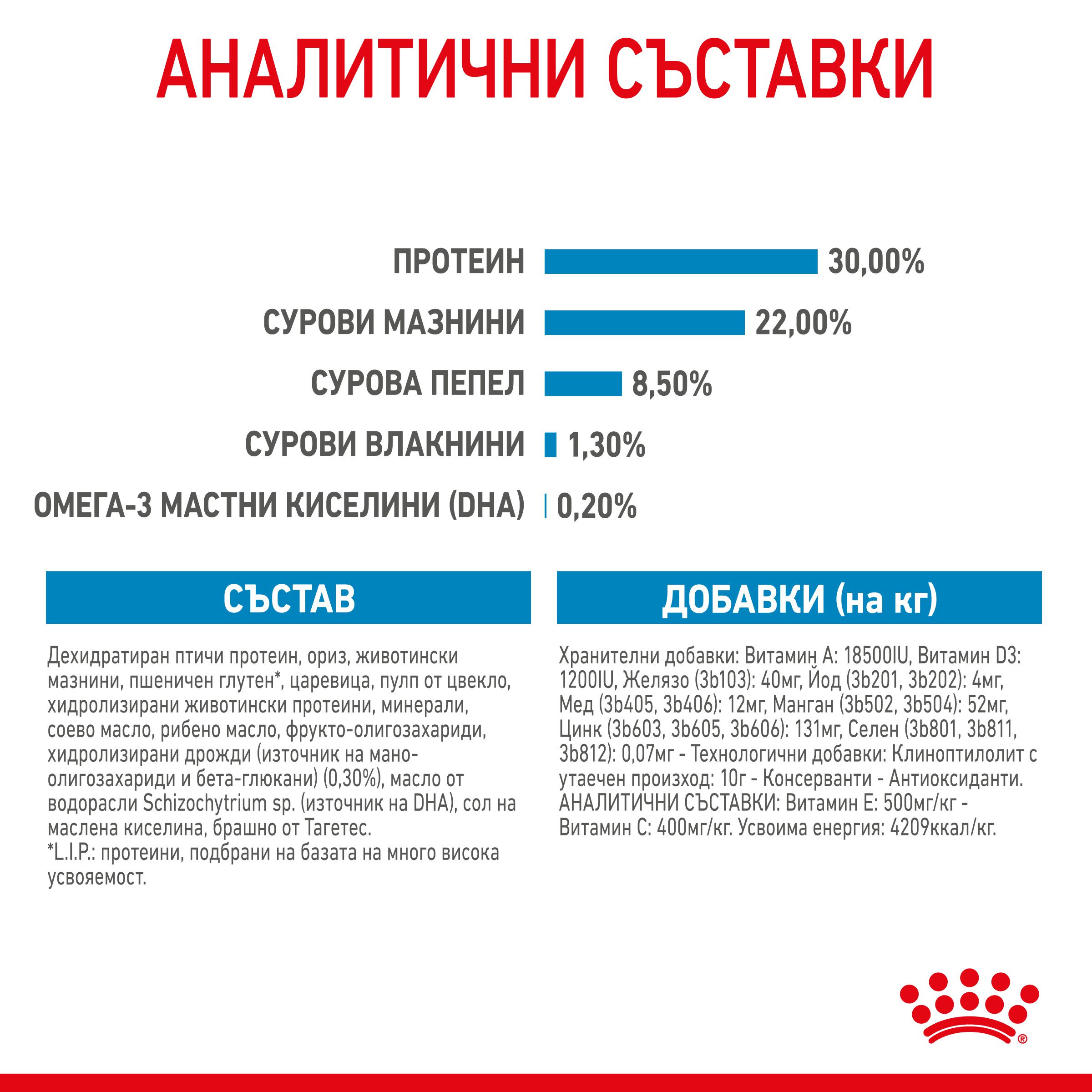 RC-SPT-DRY-MiniStart-CV-6-bg_BG