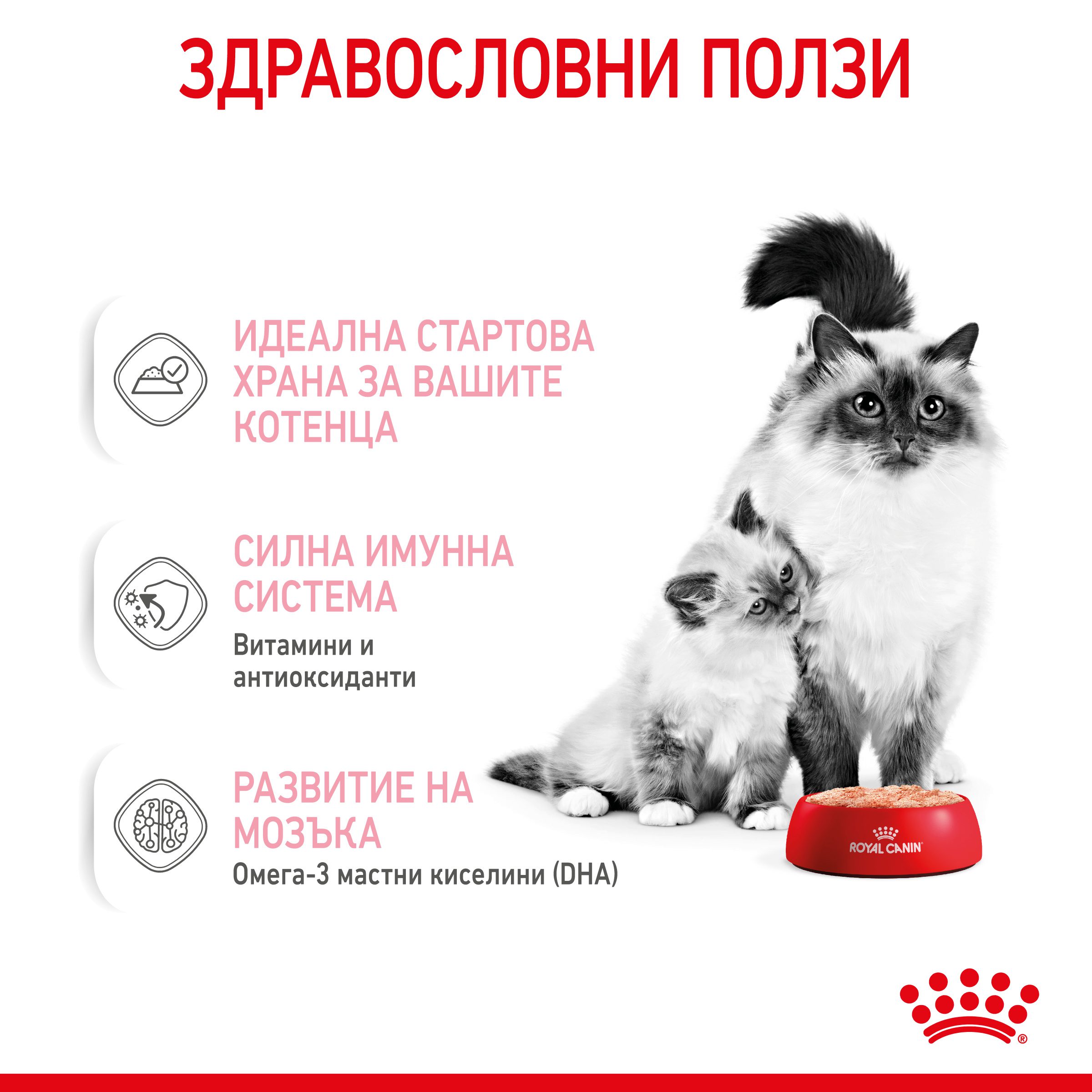 RC-SPT-WET-Babycat-CAN-CV-3-bg_BG