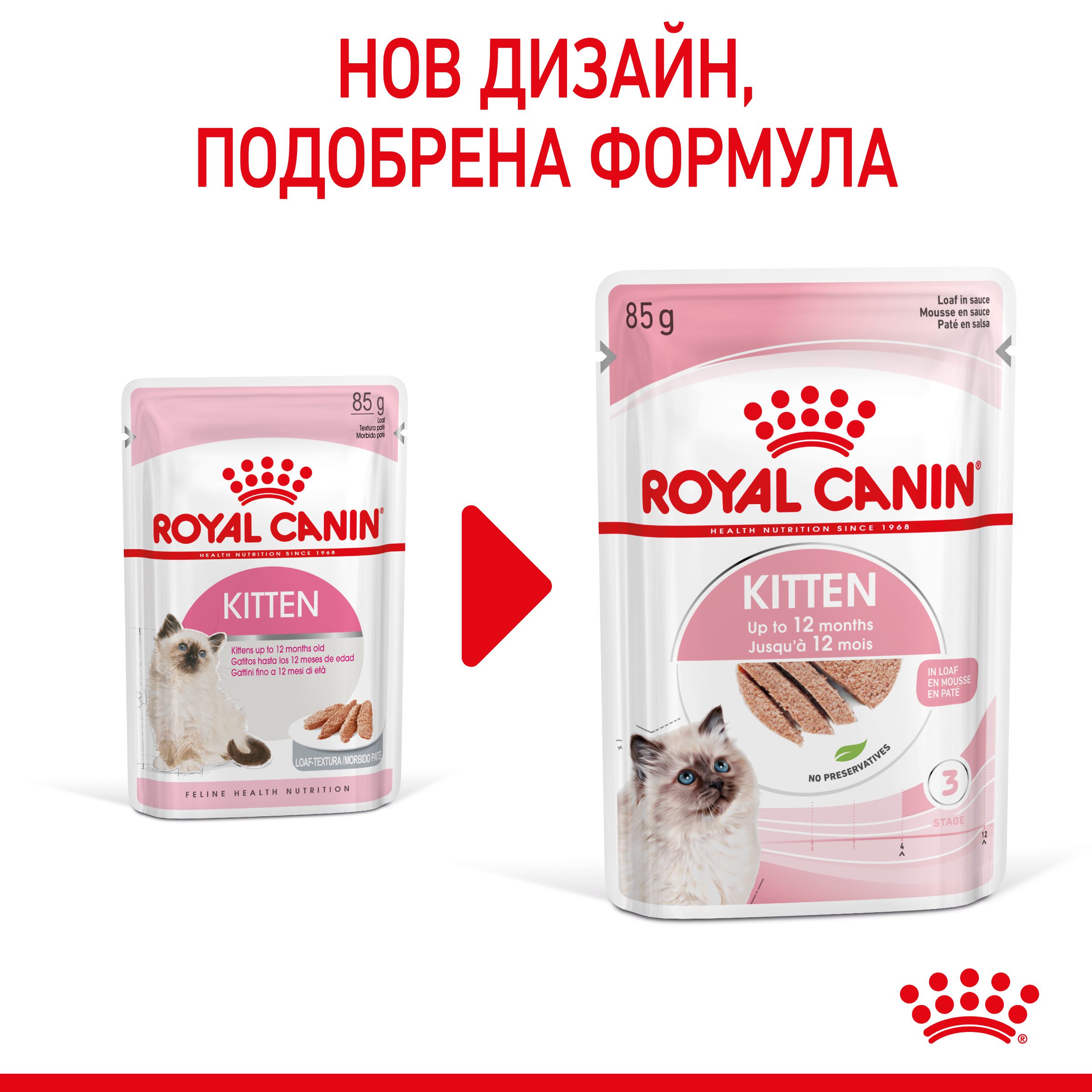 RC-SPT-WET-Kitten-LOAF-CV-1-bg_BG