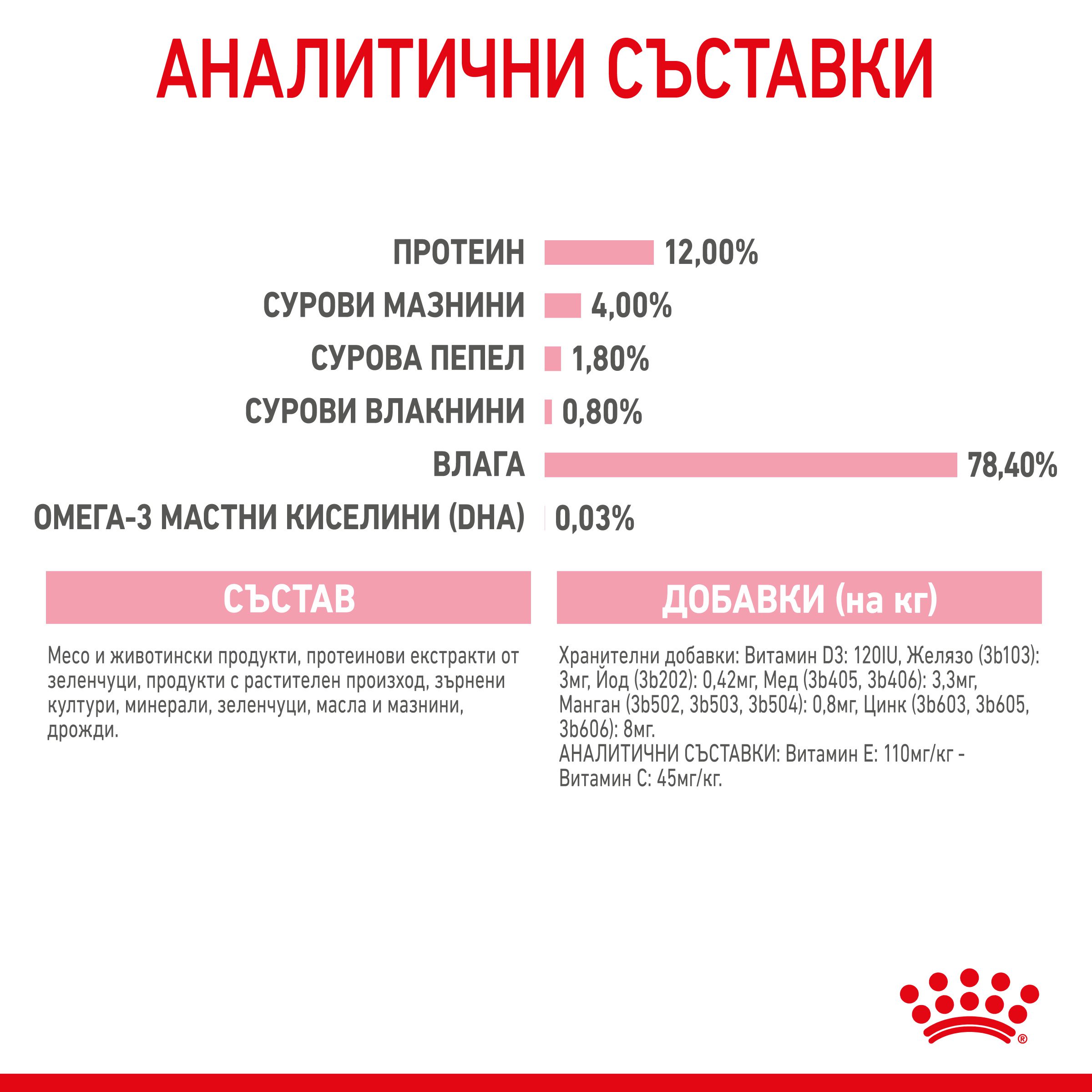 RC-SPT-WET-Kitten-LOAF-CV-5-bg_BG