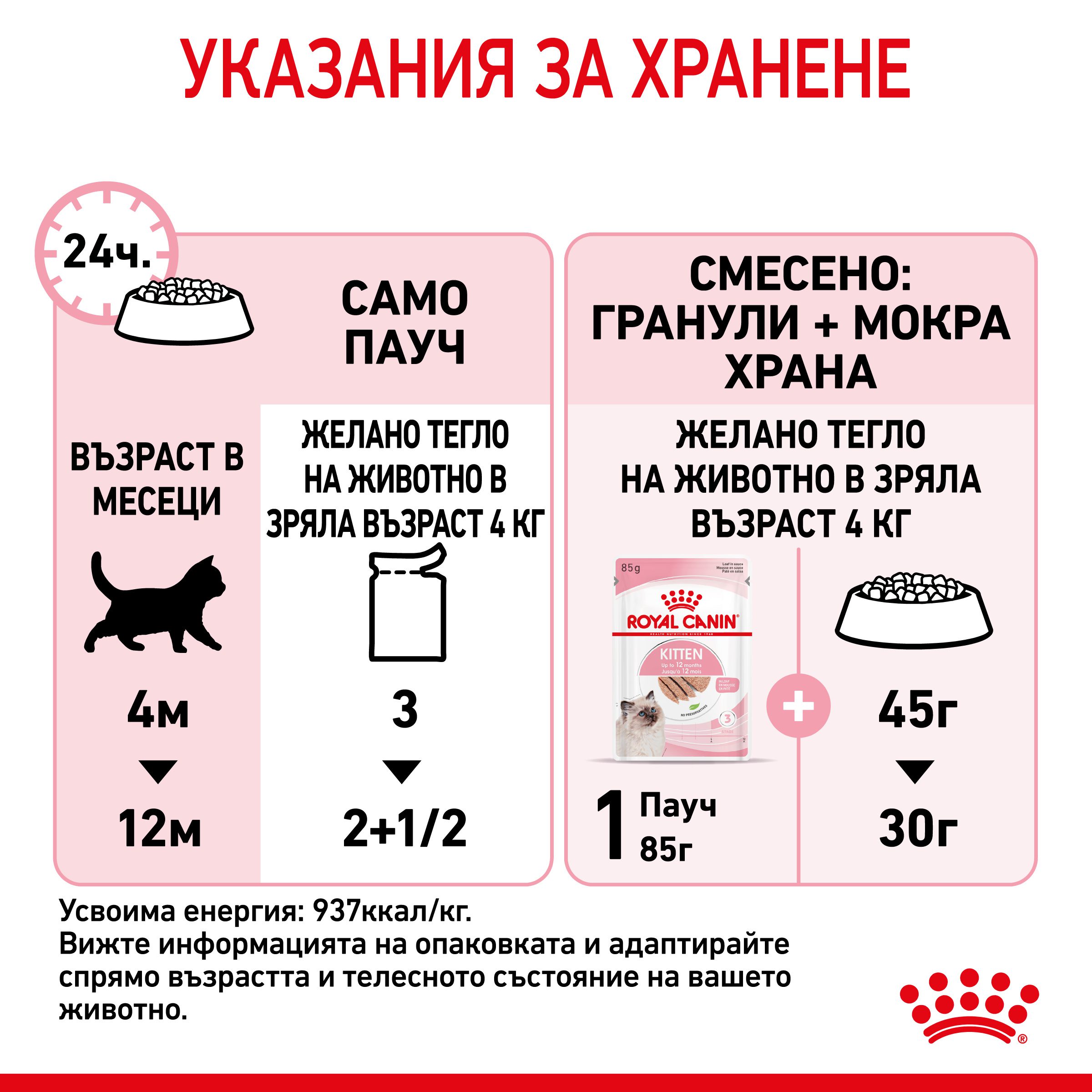 RC-SPT-WET-Kitten-LOAF-CV-7-bg_BG