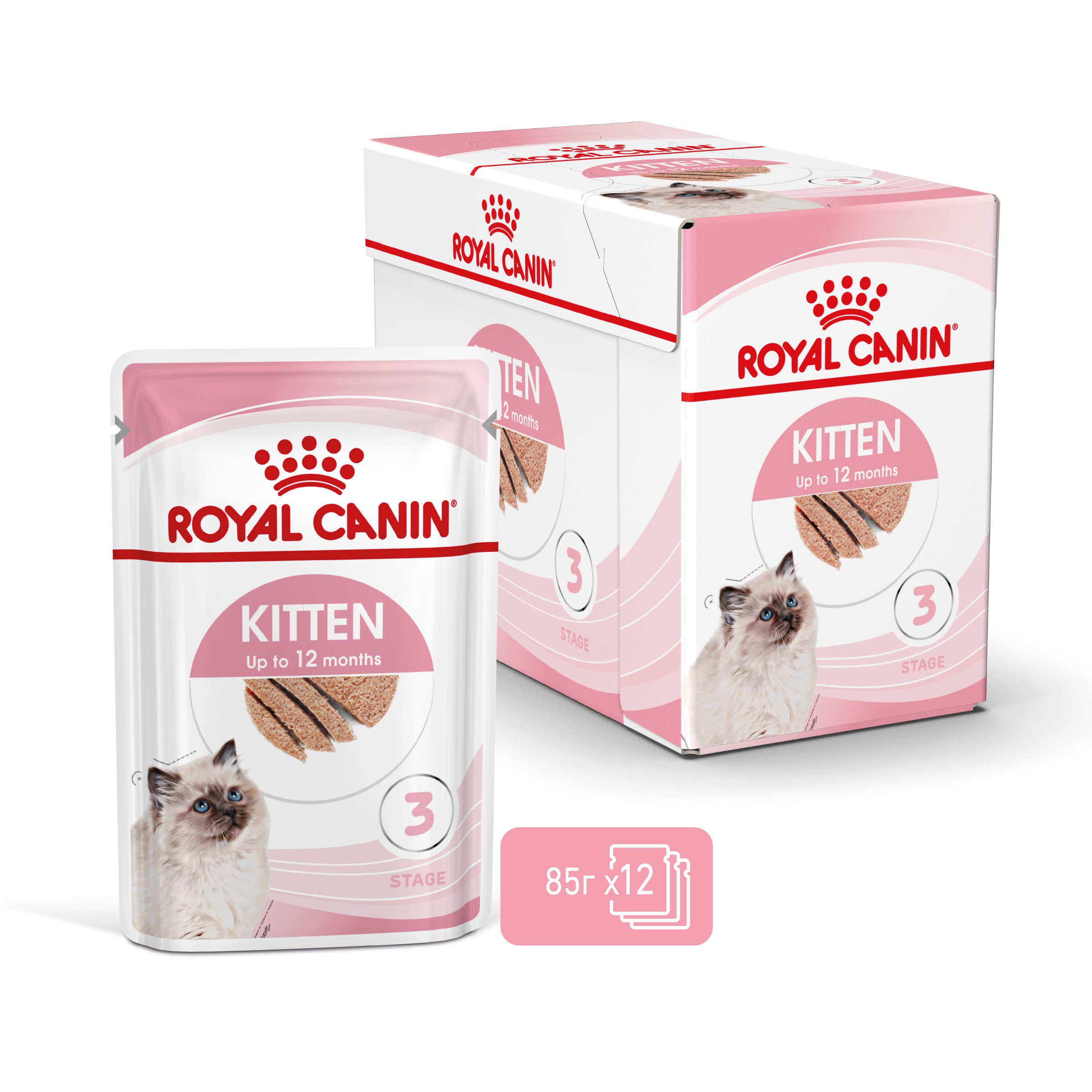 RC-SPT-WET-Kitten-LOAF-MV-2-bg_BG