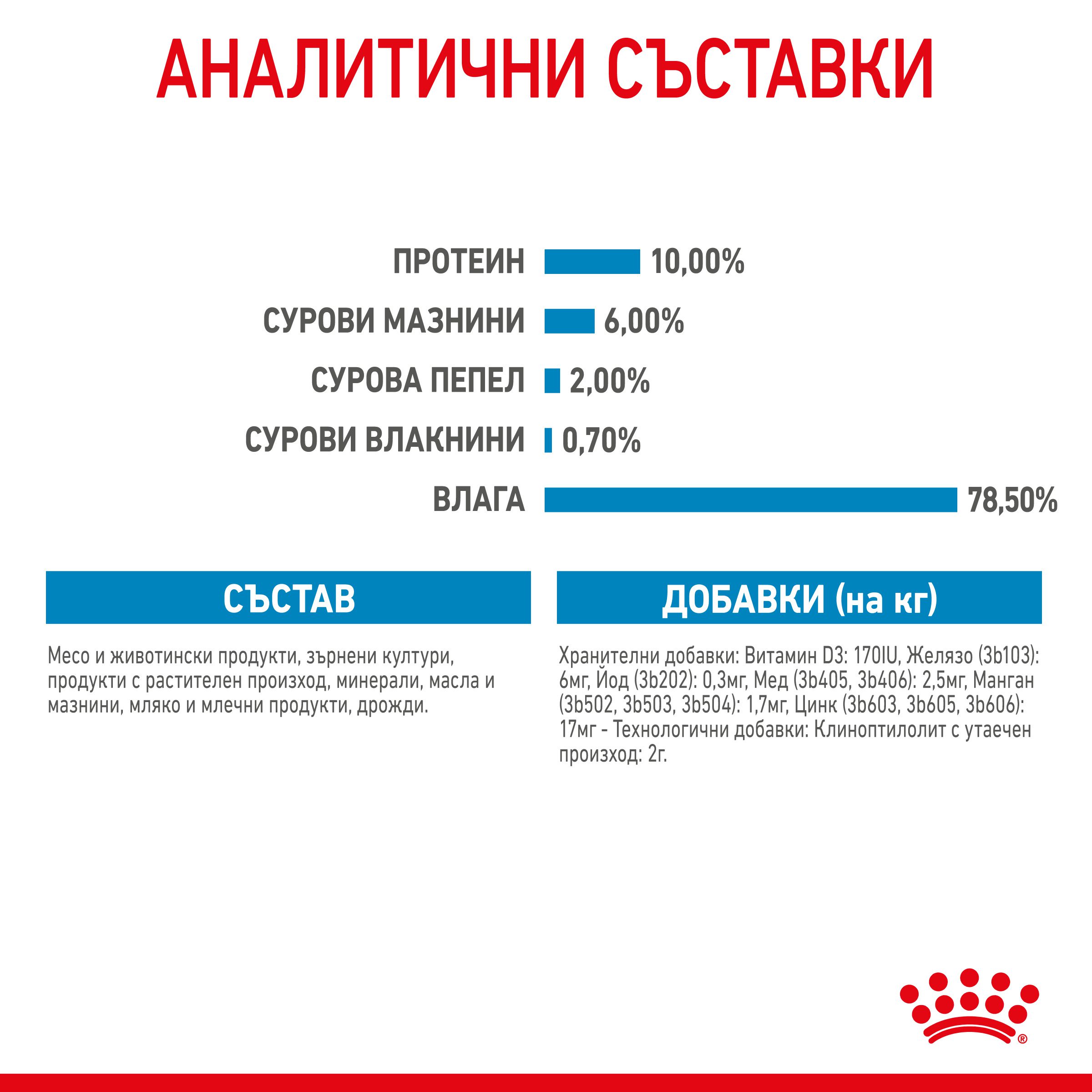 RC-SPT-WET-StarterMousse-CAN-CV-5-bg_BG
