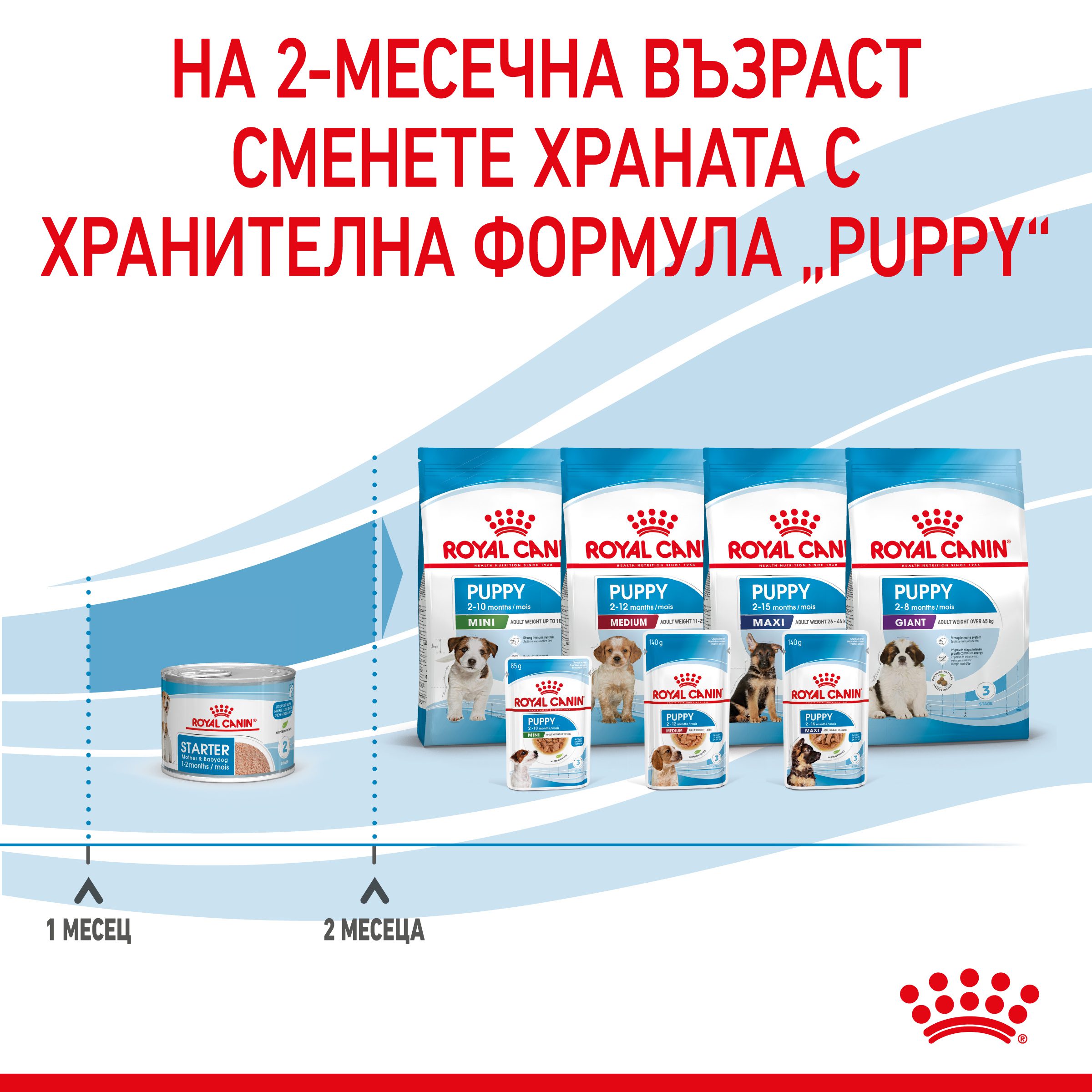 RC-SPT-WET-StarterMousse-CAN-CV-8-bg_BG