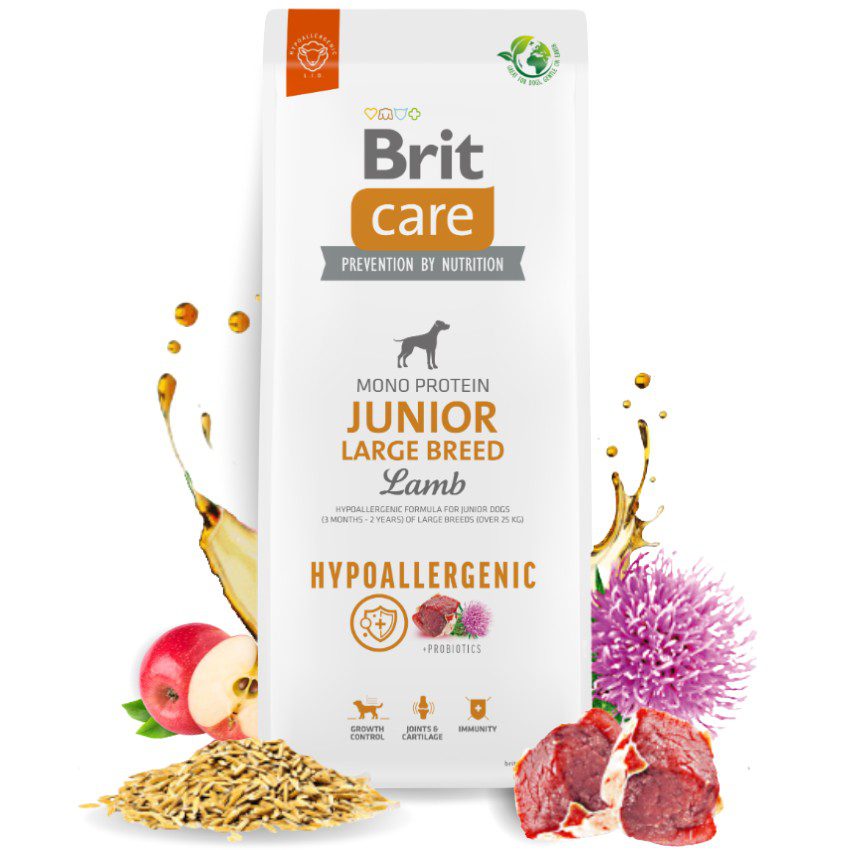 viber_image_2023-02-16_14-14-23-612