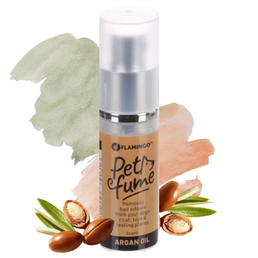 xr:d:DAFCbrU5bMg:276,j:27677727555,t:22060210