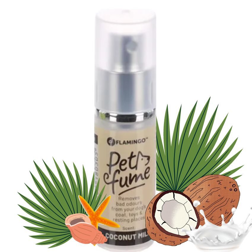 xr:d:DAFCbrU5bMg:230,j:27675115330,t:22060209