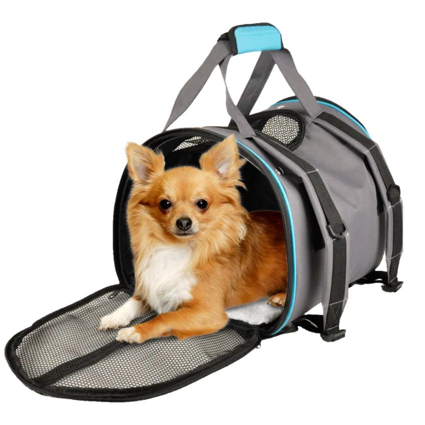 xr:d:DAFacjK-vMQ:2,j:46898250450,t:23021310