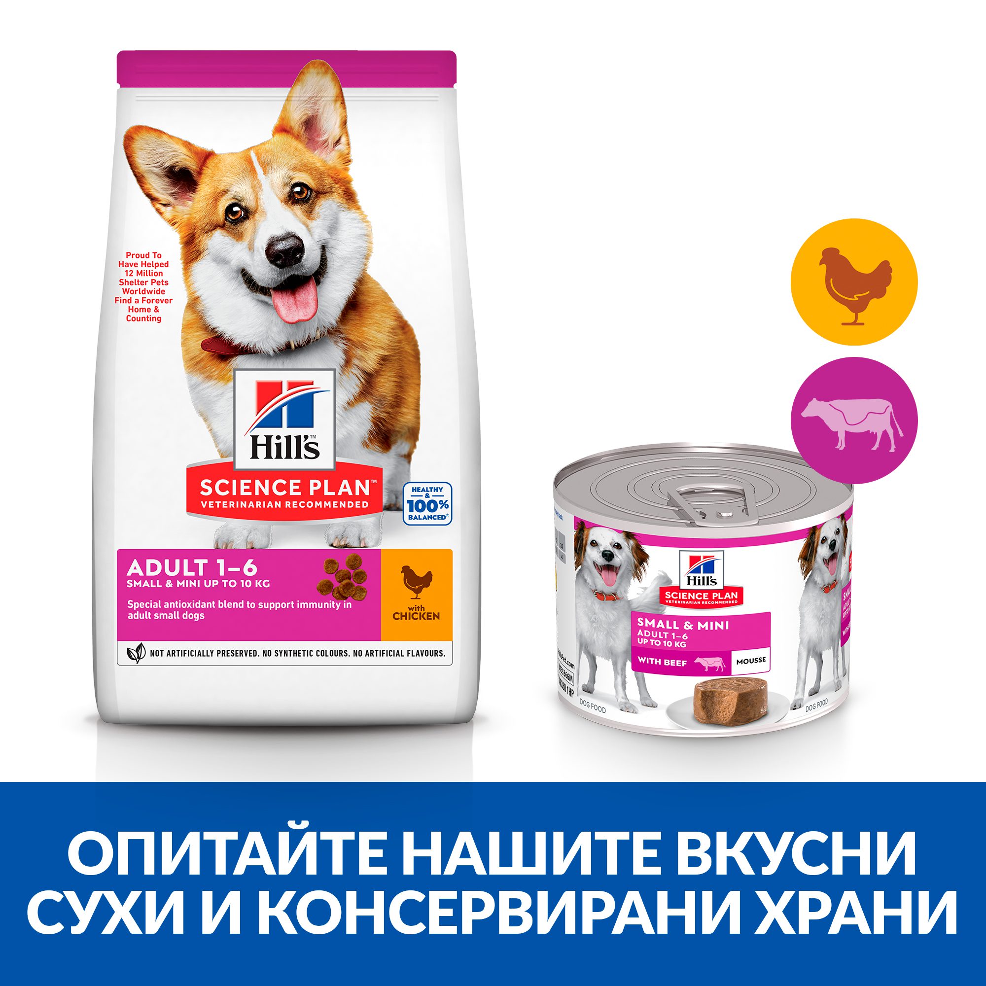 5 – 00545102_SP_S_M_Dog_Adult_Beef_Mousse_ BK35366M_Cross sell_R2_BG