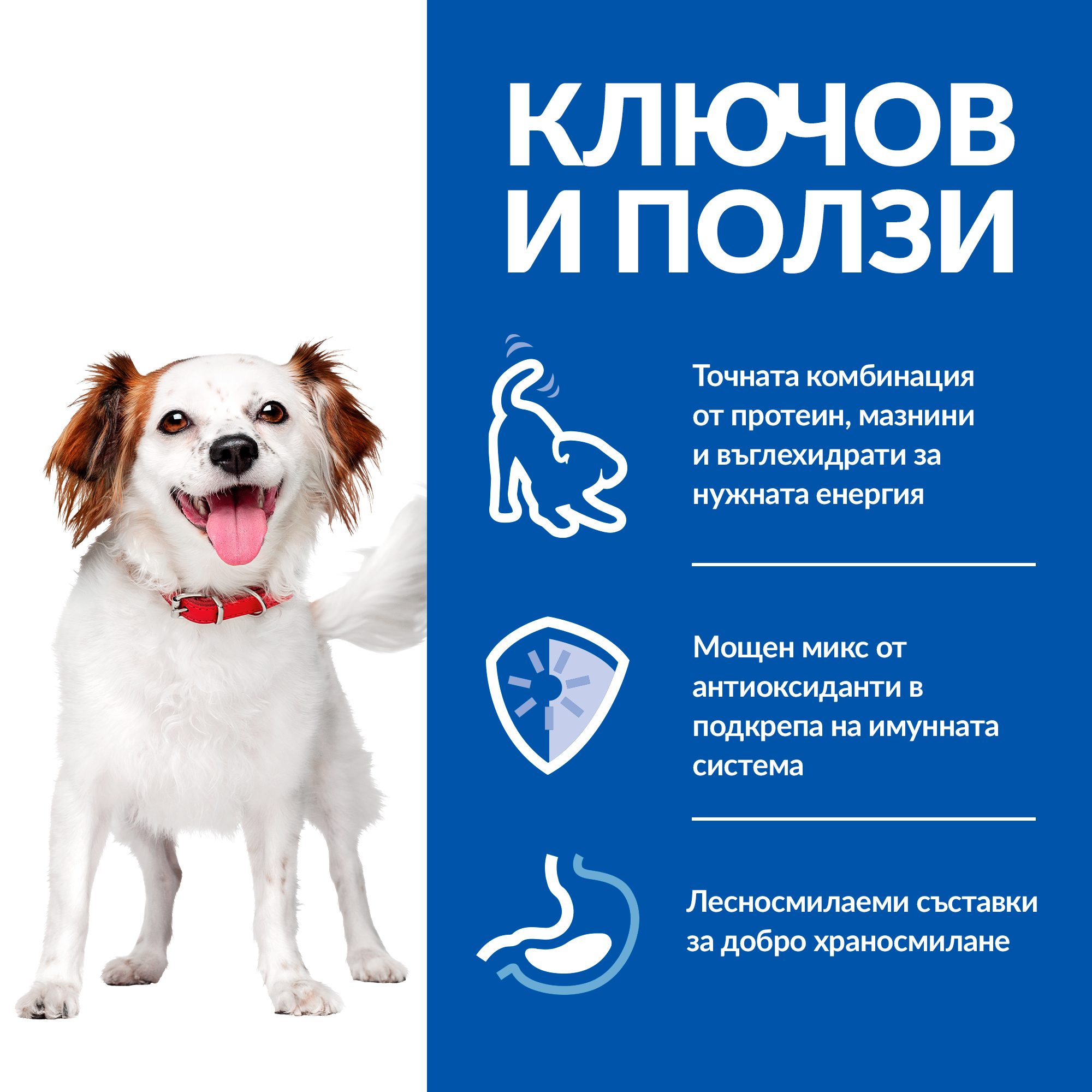 6 – 00545102_SP_S_M_Dog_Adult_Beef_Mousse_ BK35366M_Benefits_R2_R2_BG