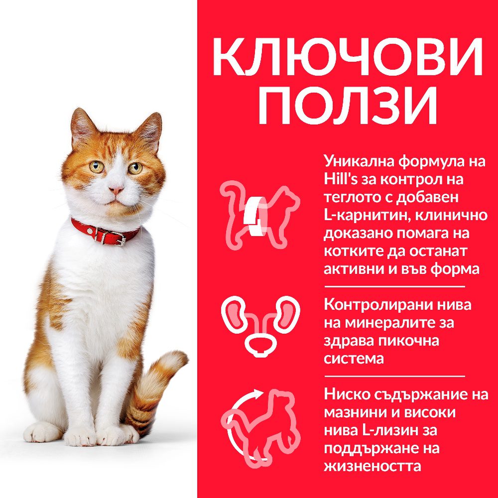 CAT_Young_Adult_Sterilised_Chicken_Transition-Benefits_BG