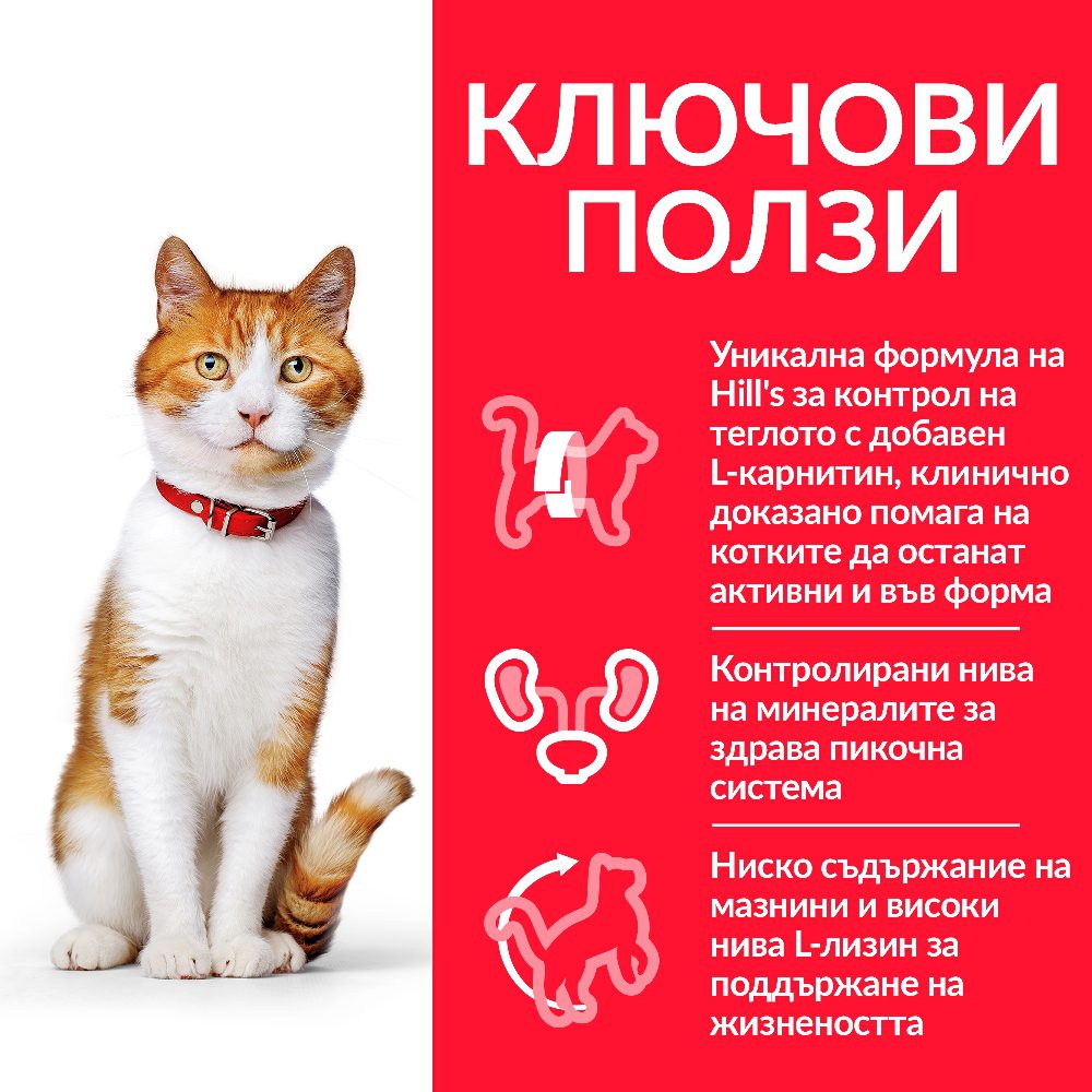 CAT_Young_Adult_Sterilised_Turkey_Pouch_Transition-Benefits_BG