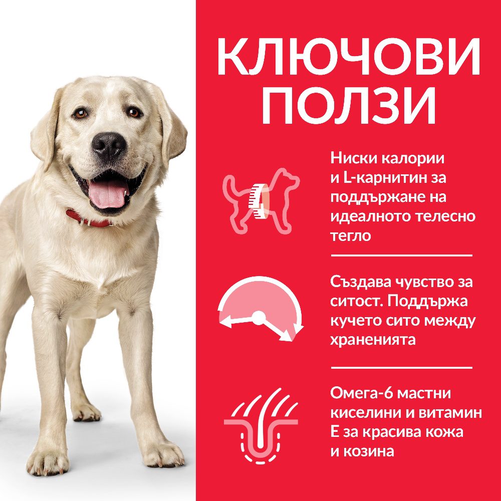 DOG_Adult_Large_Light_Chicken_Transition-Benefits